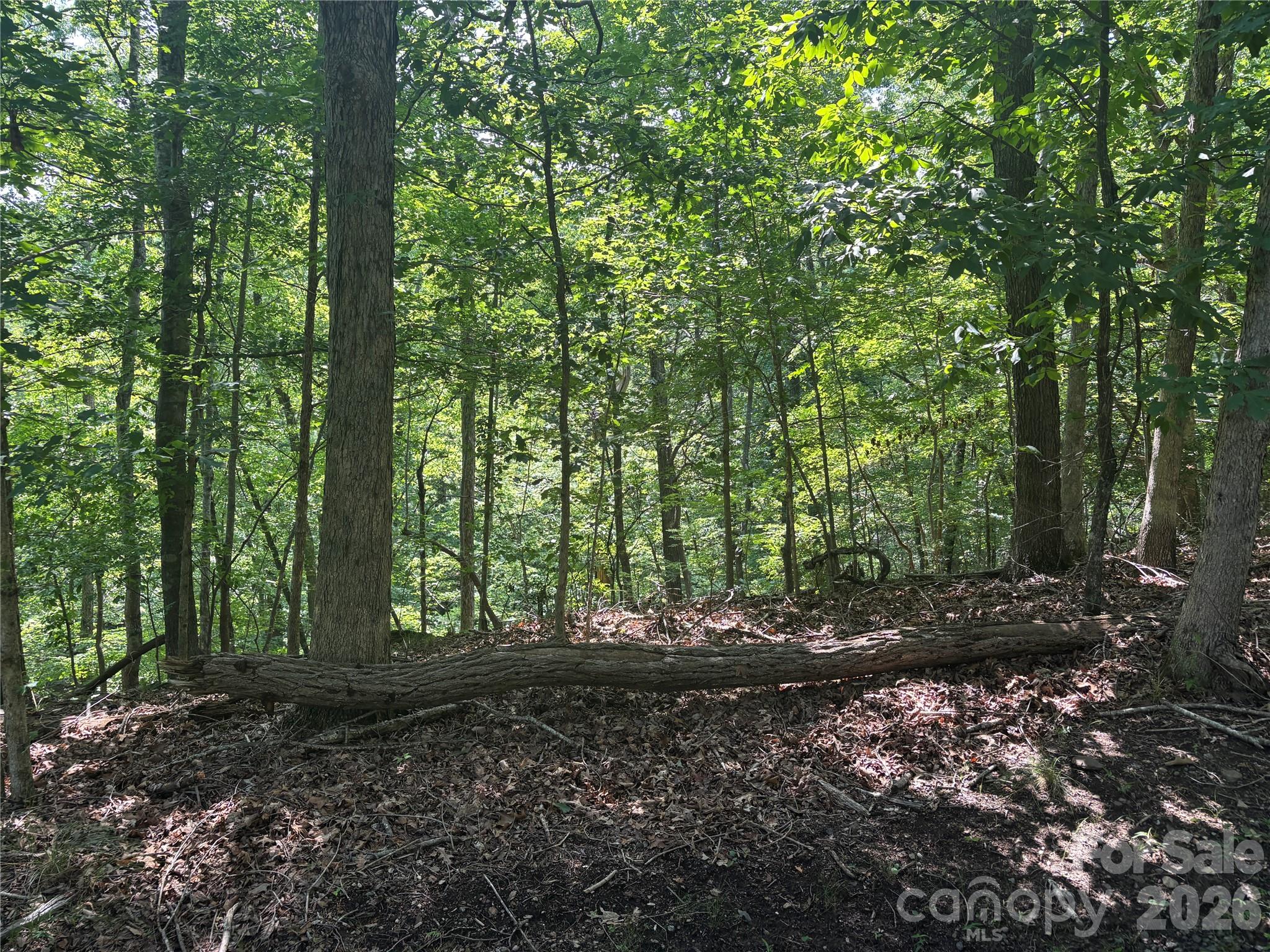 Lot 13 Crab Apple Court