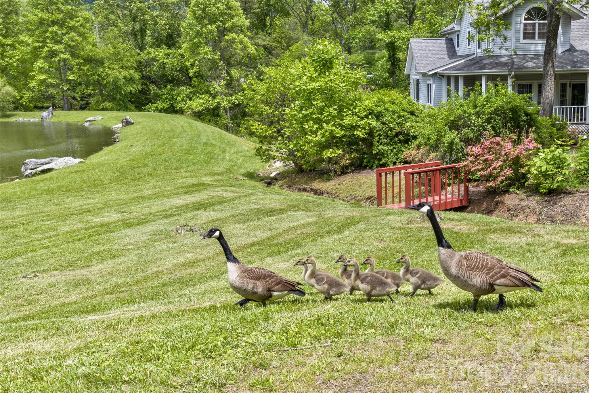 Windsong Estates - Residential