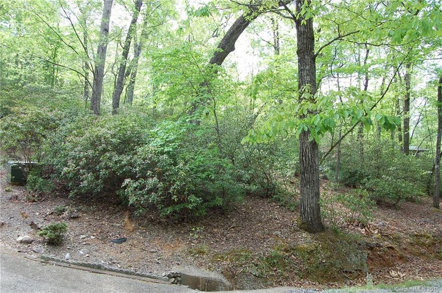 AFFORDABLE, LEVEL, WOODED LOT IN GATED COMMUNITY WITH PARK ON LAKE LURE! Enjoy fishing, swimming, motorized and non-motorized boating on Lake Lure year around in Lake Lure Village Resort. Build your cabin on this level lot, complete with lovely hardwoods and mountain laurel, and be just a short walk or golf cart ride away from the waters of Lake Lure. Community also has a waterfall/creek park area, open meadows area, boat slips, and open air boat storage.Community water. A MUST SEE!