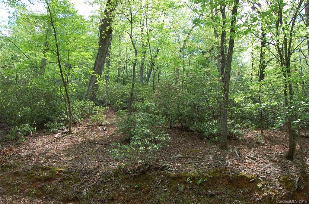 Lake Lure Village Resort - Land