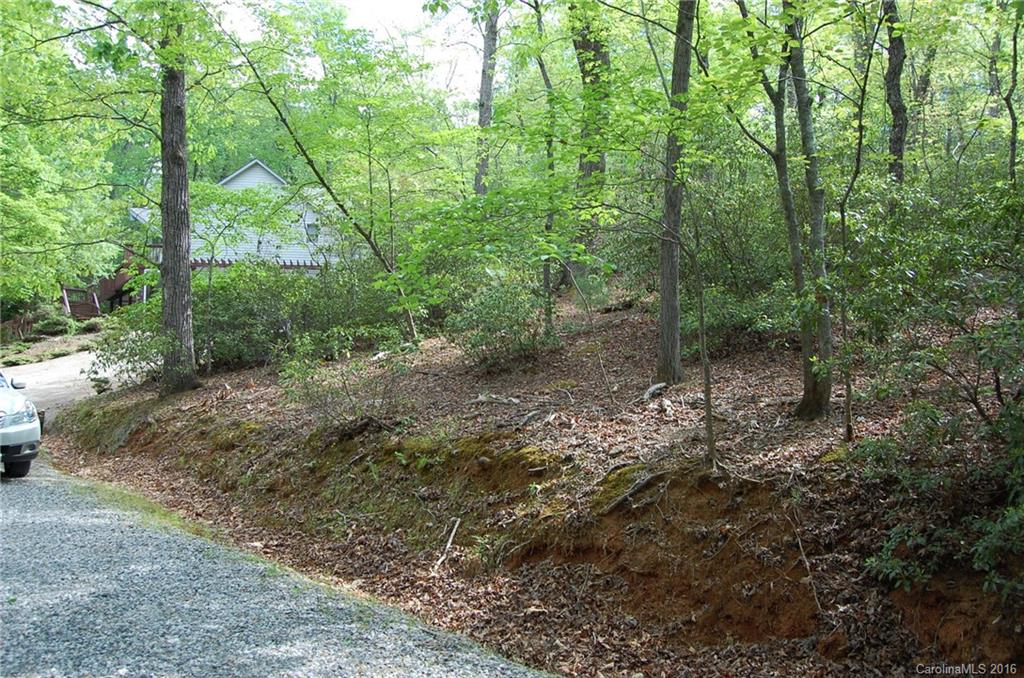 Lake Lure Village Resort - Land