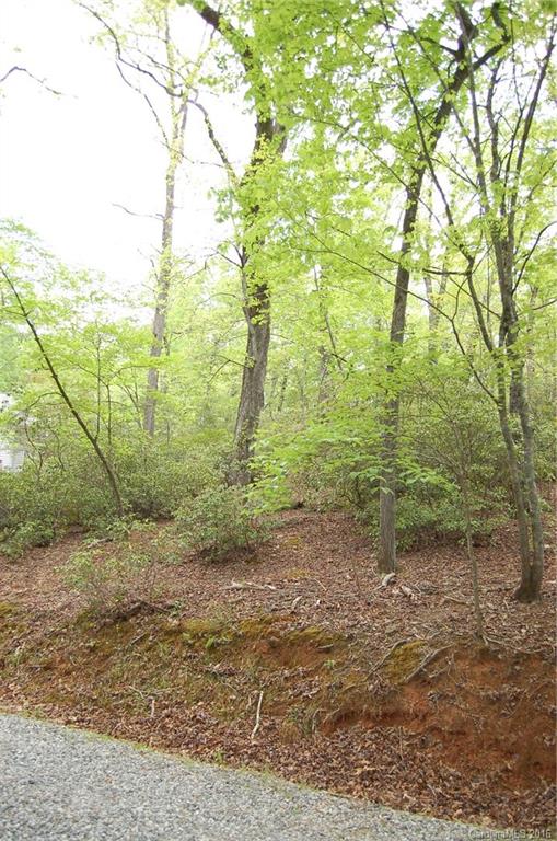 Lake Lure Village Resort - Land