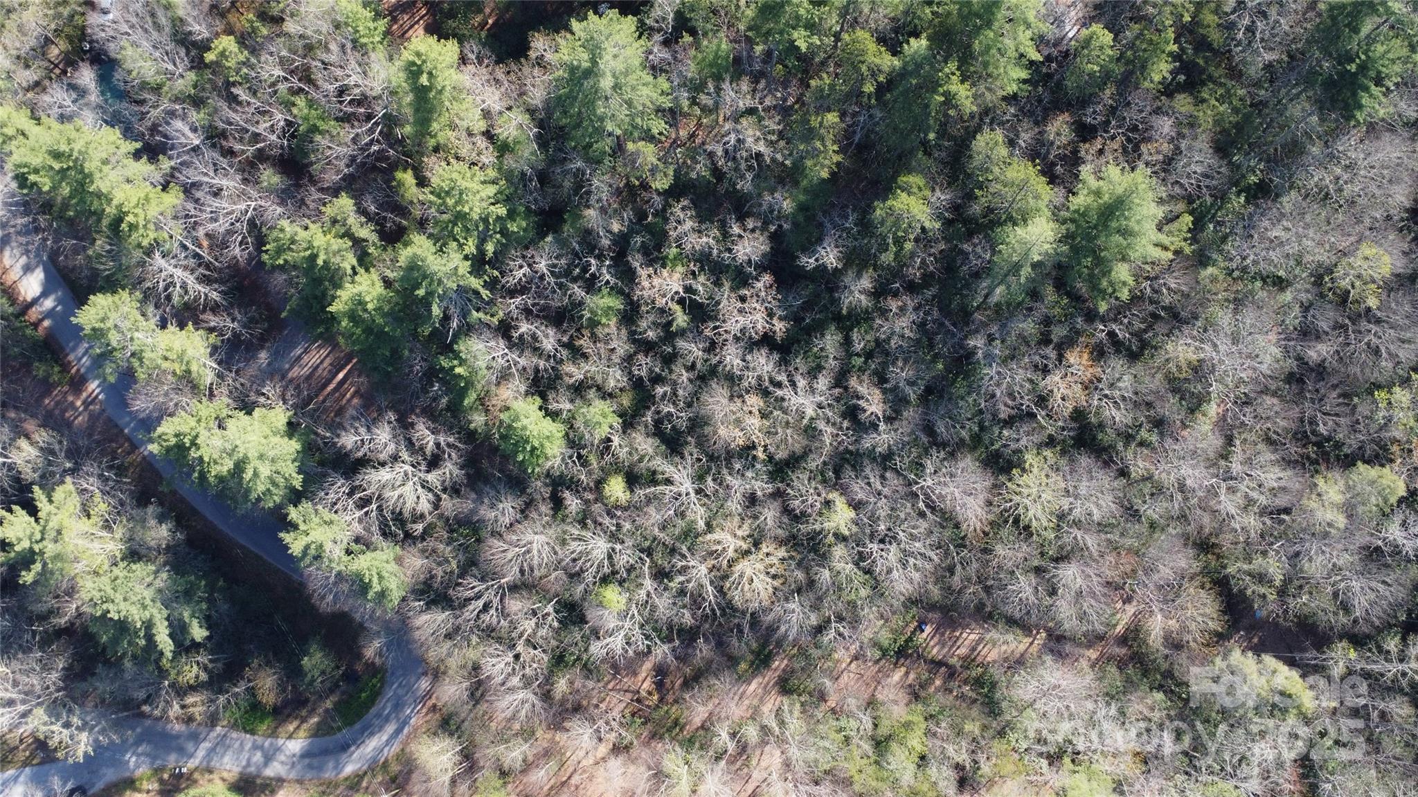 217 Oak Ridge Road