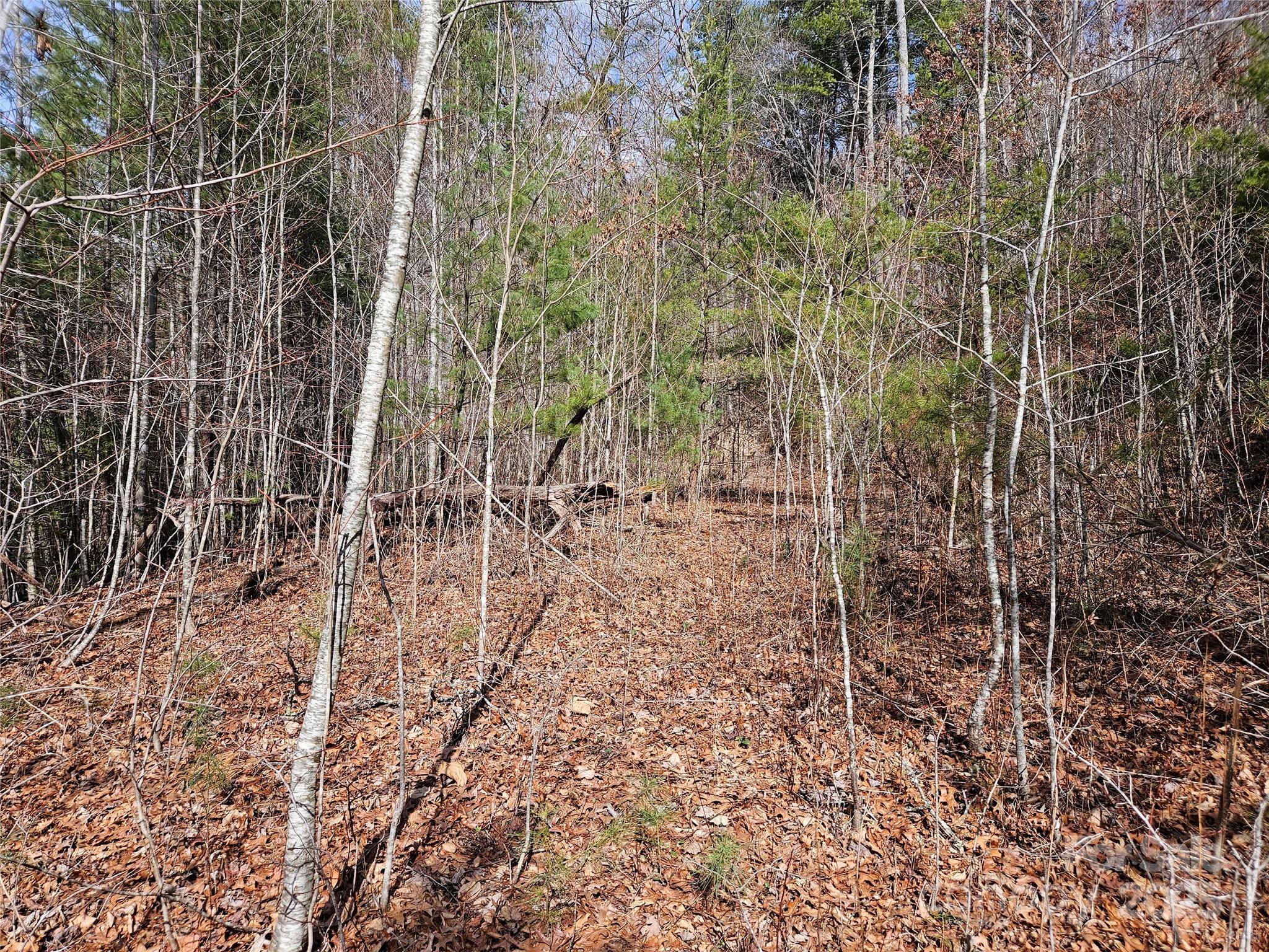 Twin Oaks Estate - Land