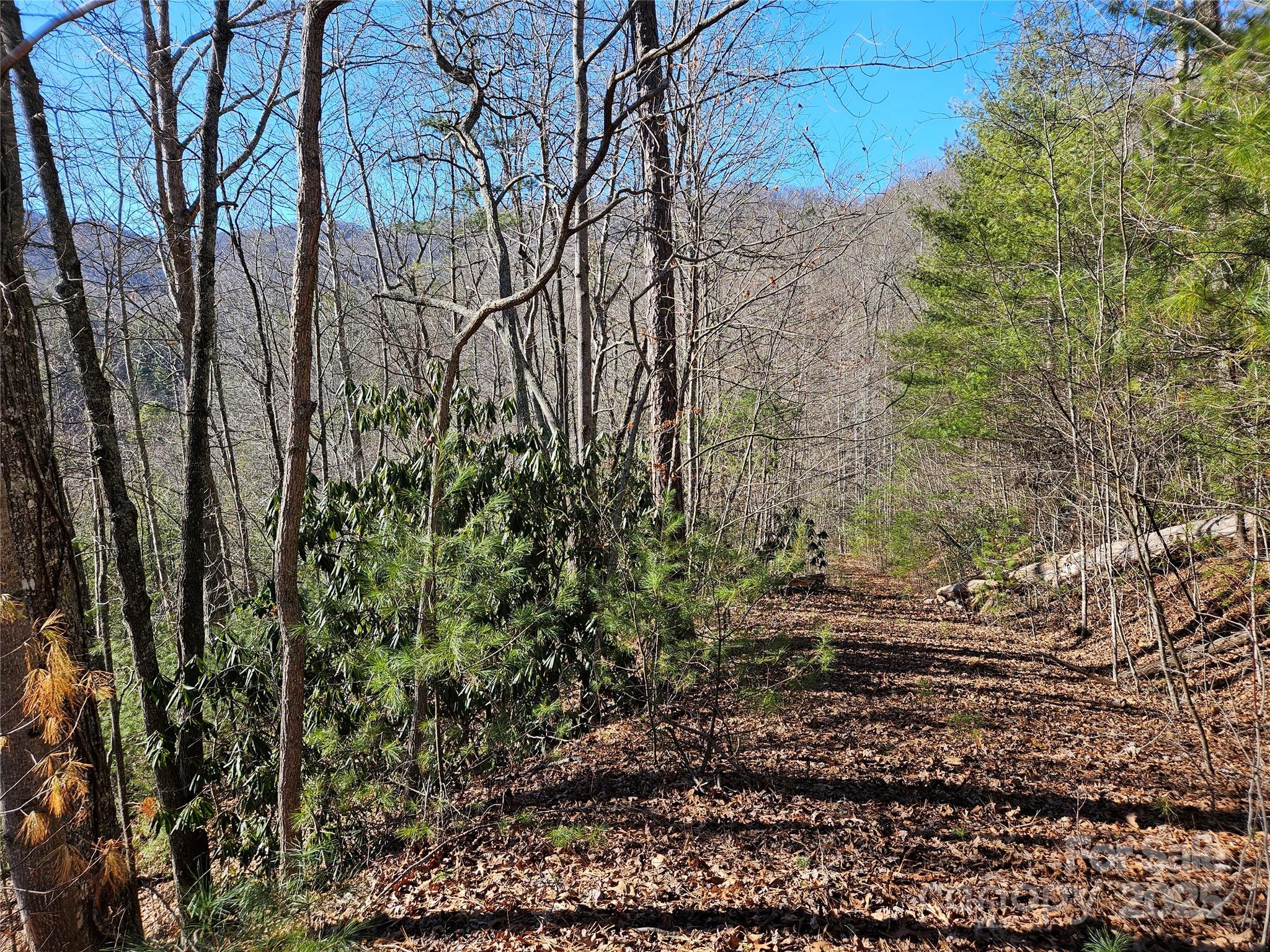 Twin Oaks Estate - Land