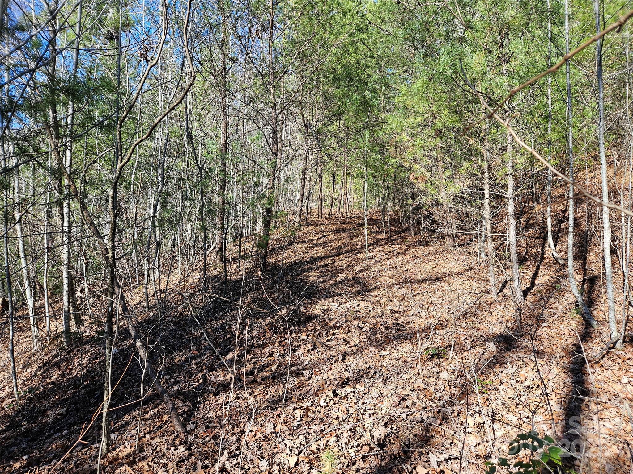 Twin Oaks Estate - Land