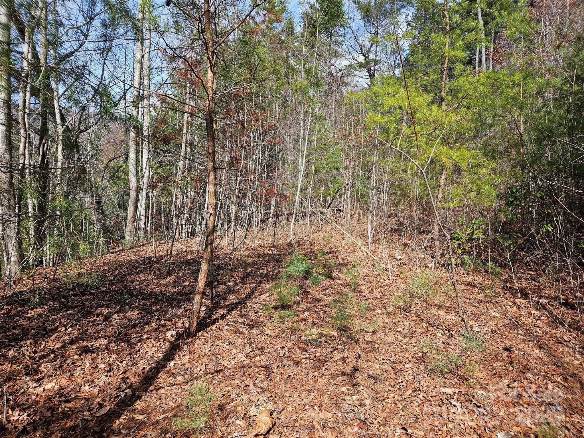 Twin Oaks Estate - Land