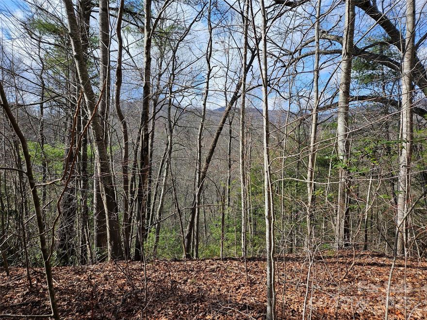 Come check out this approximately 2.11 acre lot in Twin Oaks Estate, complete with a rough cut but gently sloped driveway and level area at the top! Build site is about 25'x125', so plenty of room for your one level home and the potential for year round westerly mountain views. Modular homes are allowed, and with easy access to I-40 or Jonathan Creek Rd this lot will leave you feeling private and secluded while still having all that the mountains have to offer at your fingertips. Call today for your private showing!