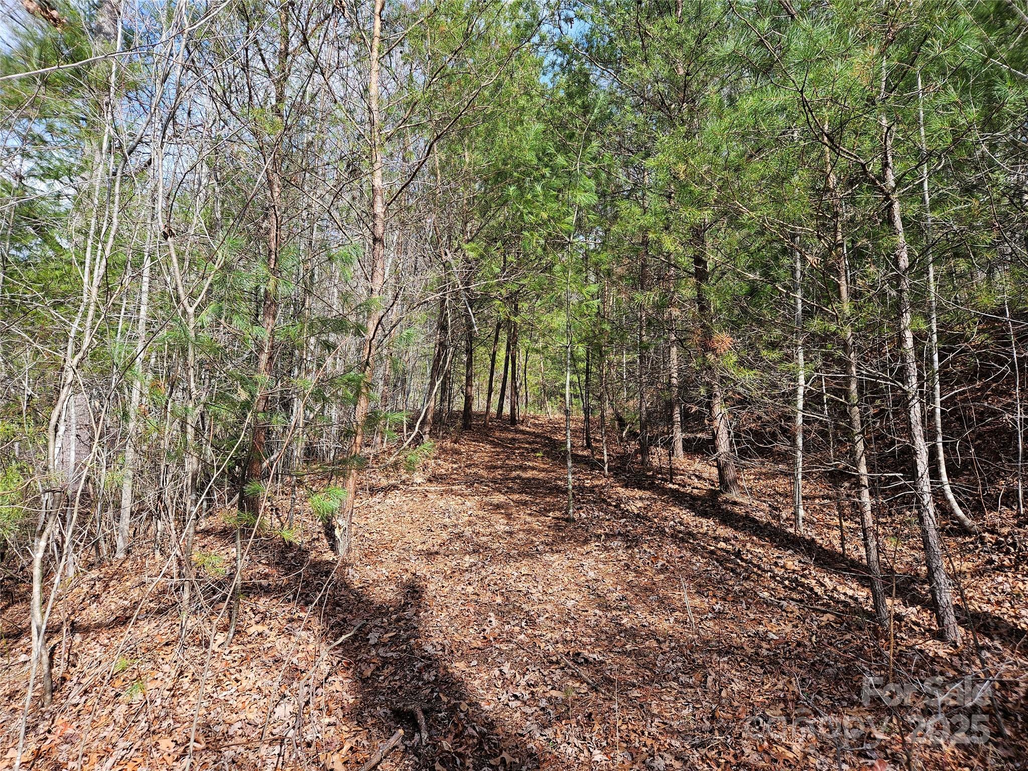 Twin Oaks Estate - Land