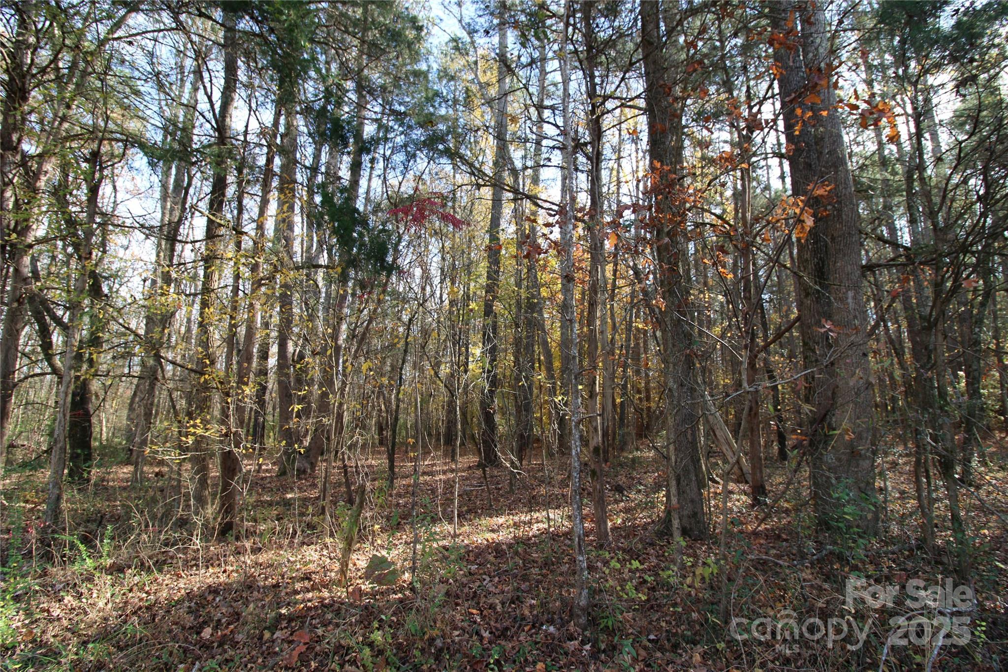 Lot 3 6.5+/-AC Bookout Road
