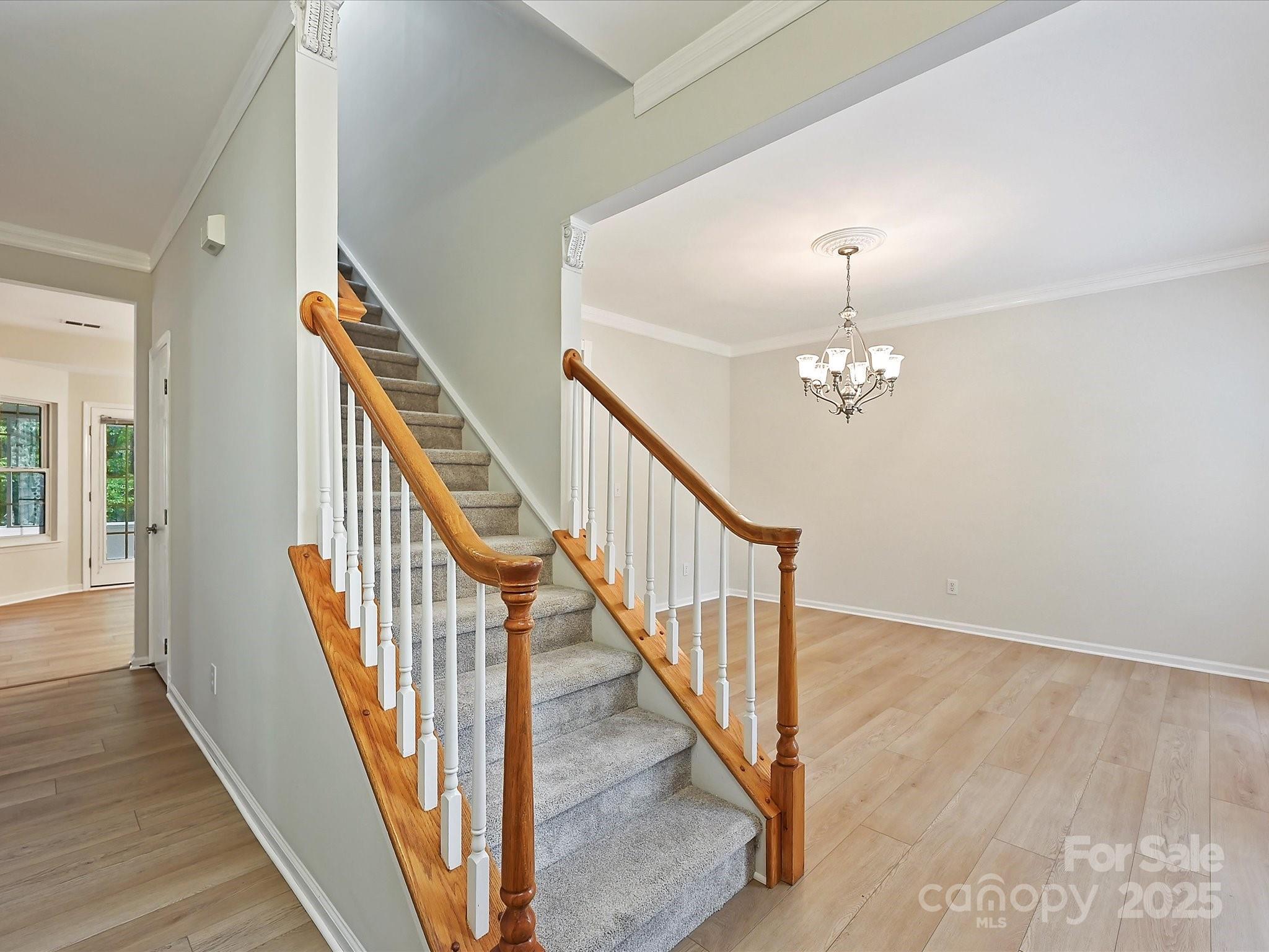 13405 Honeytree Lane
