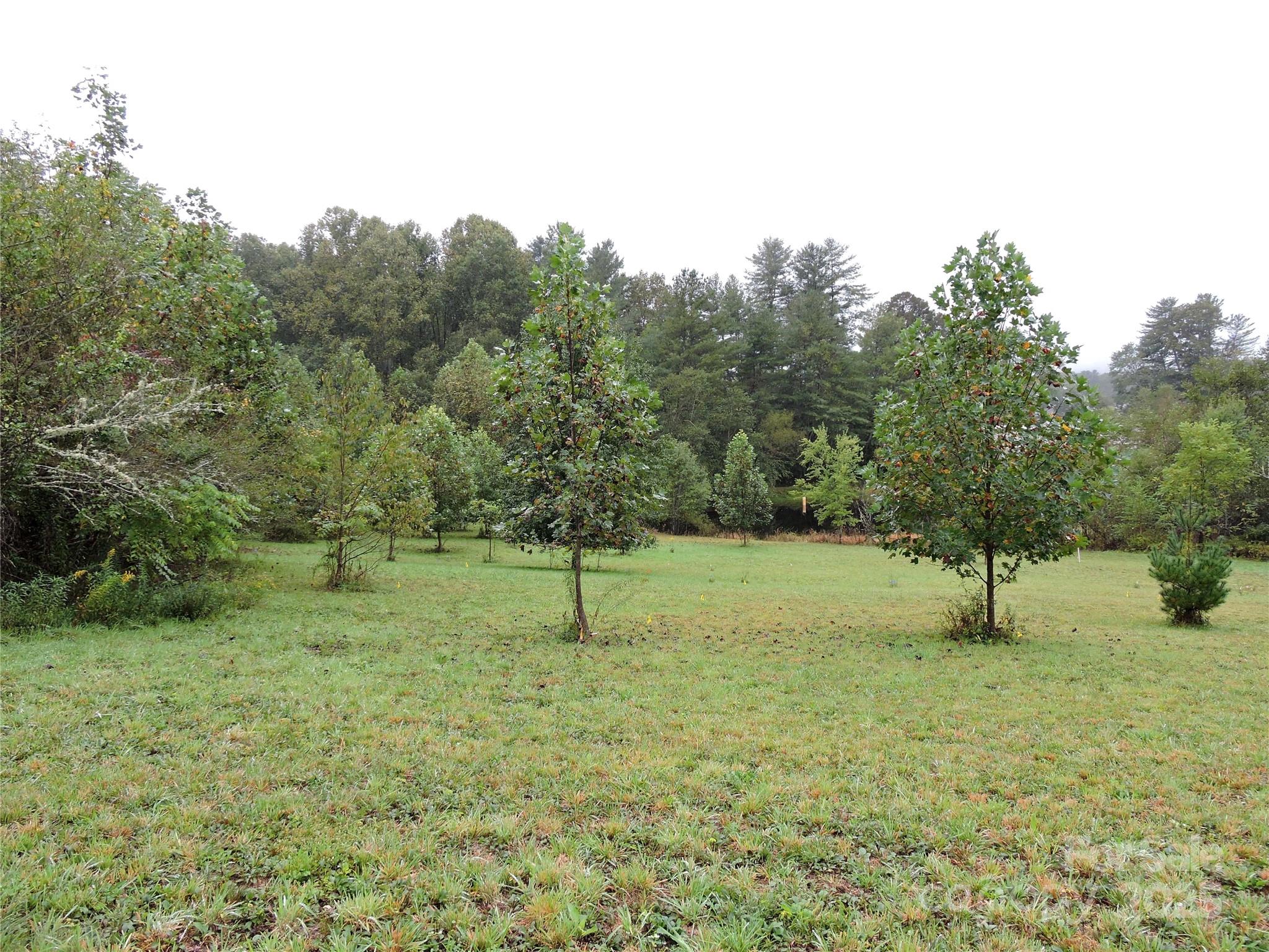 Etowah, North Carolina 28729, United States, ,Land,Under Contract,220259