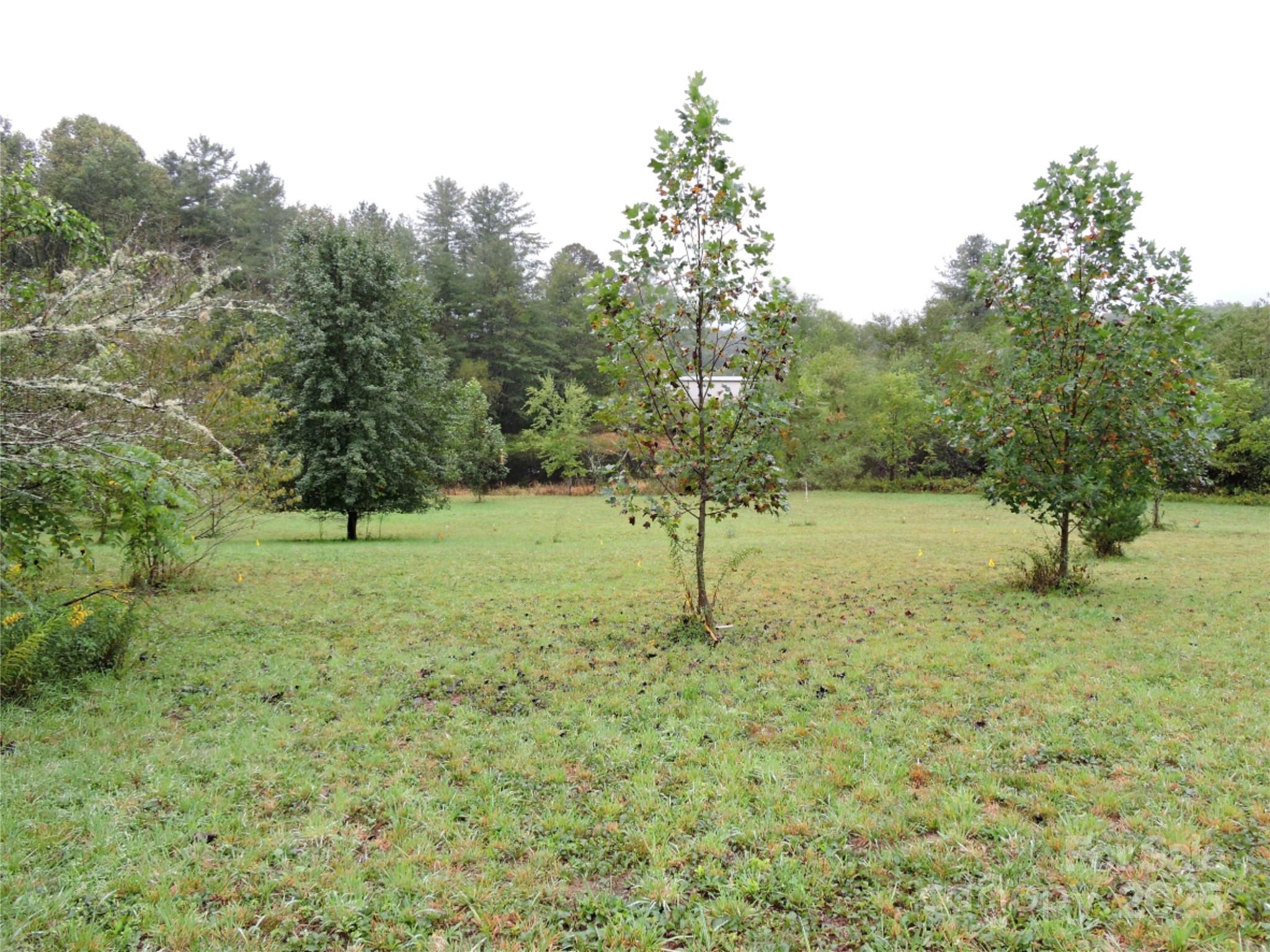 Etowah, North Carolina 28729, United States, ,Land,Under Contract,220259