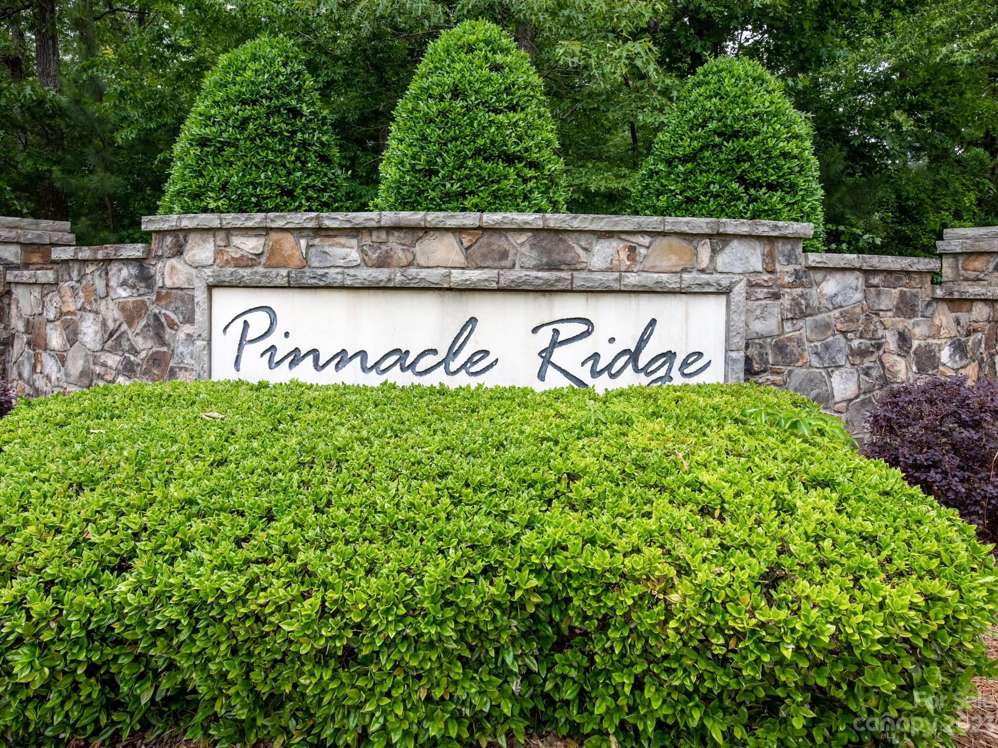 Pinnacle Ridge - Residential