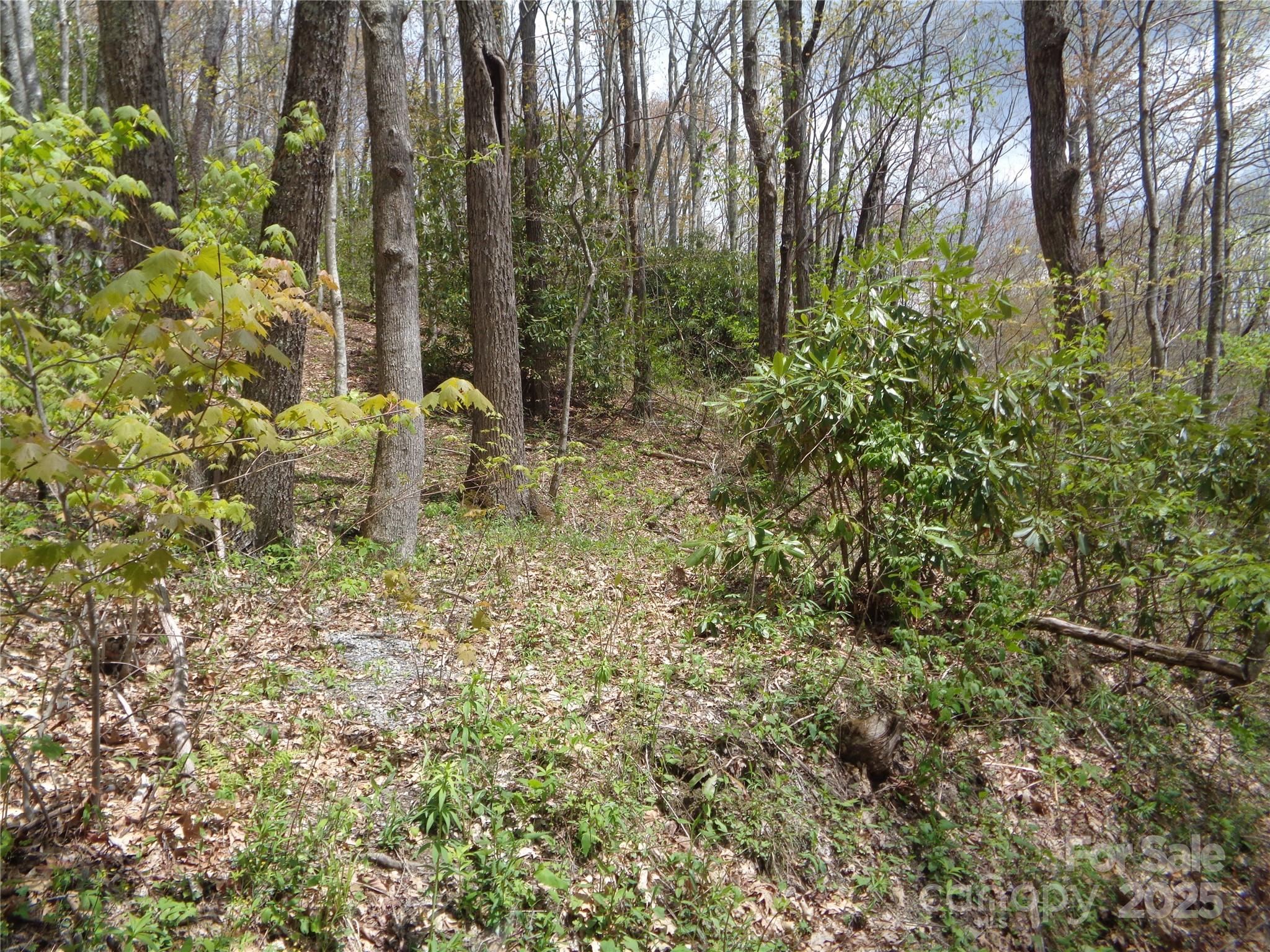 Sheepback Mountain - Land