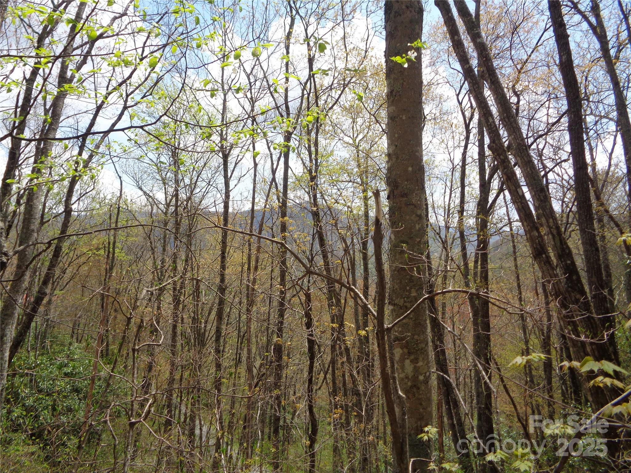 Sheepback Mountain - Land