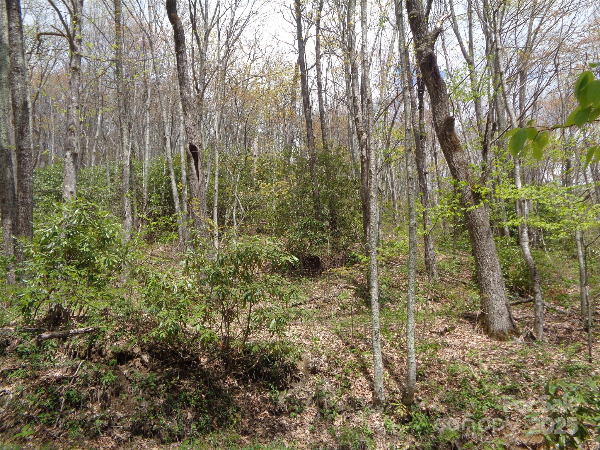 Sheepback Mountain - Land