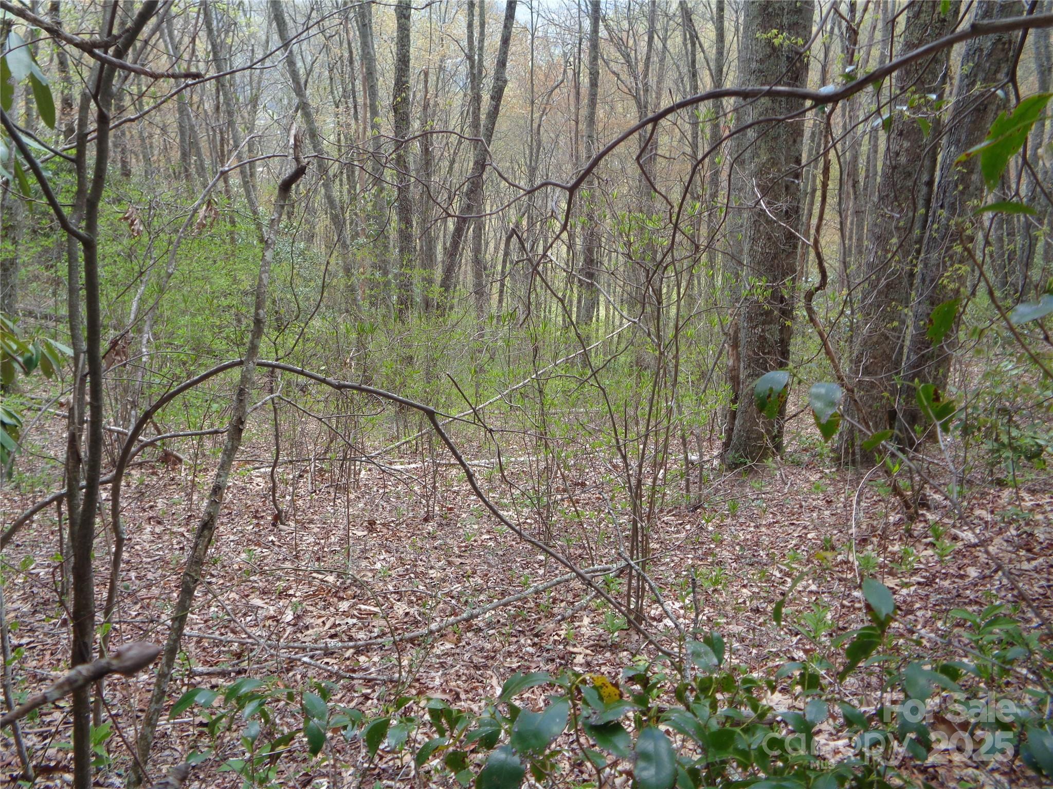 Sheepback Mountain - Land