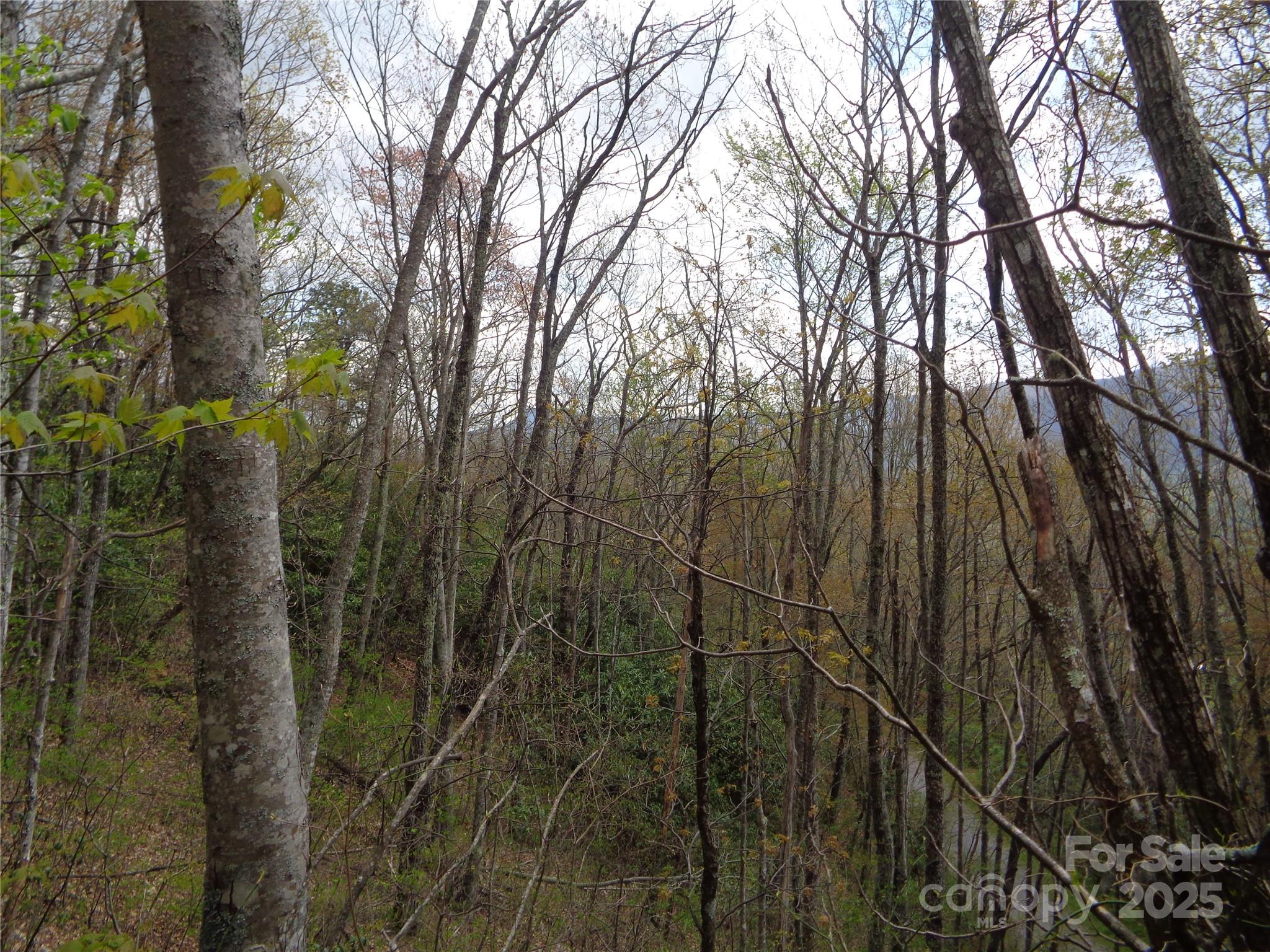 Sheepback Mountain - Land