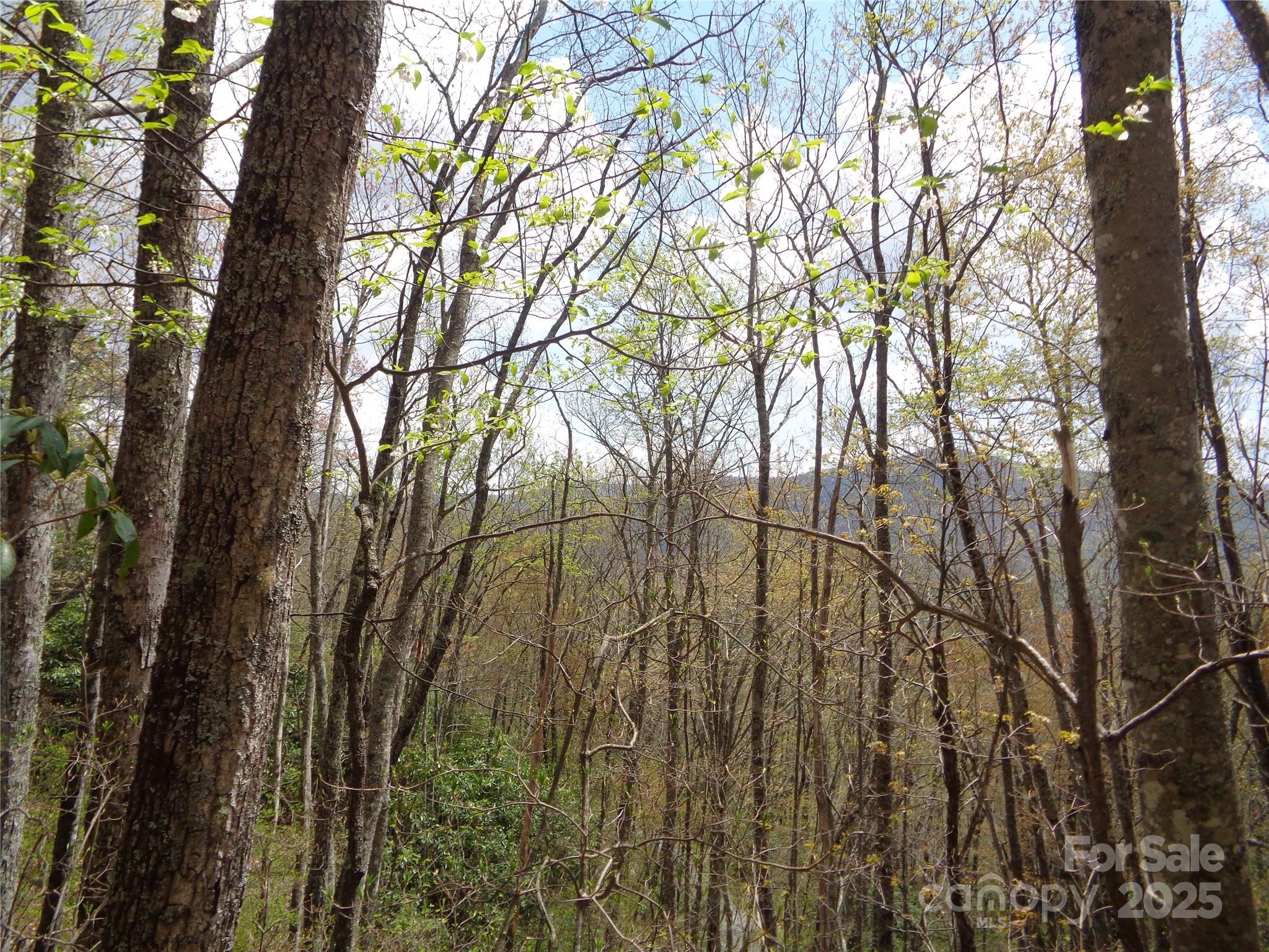 Sheepback Mountain - Land