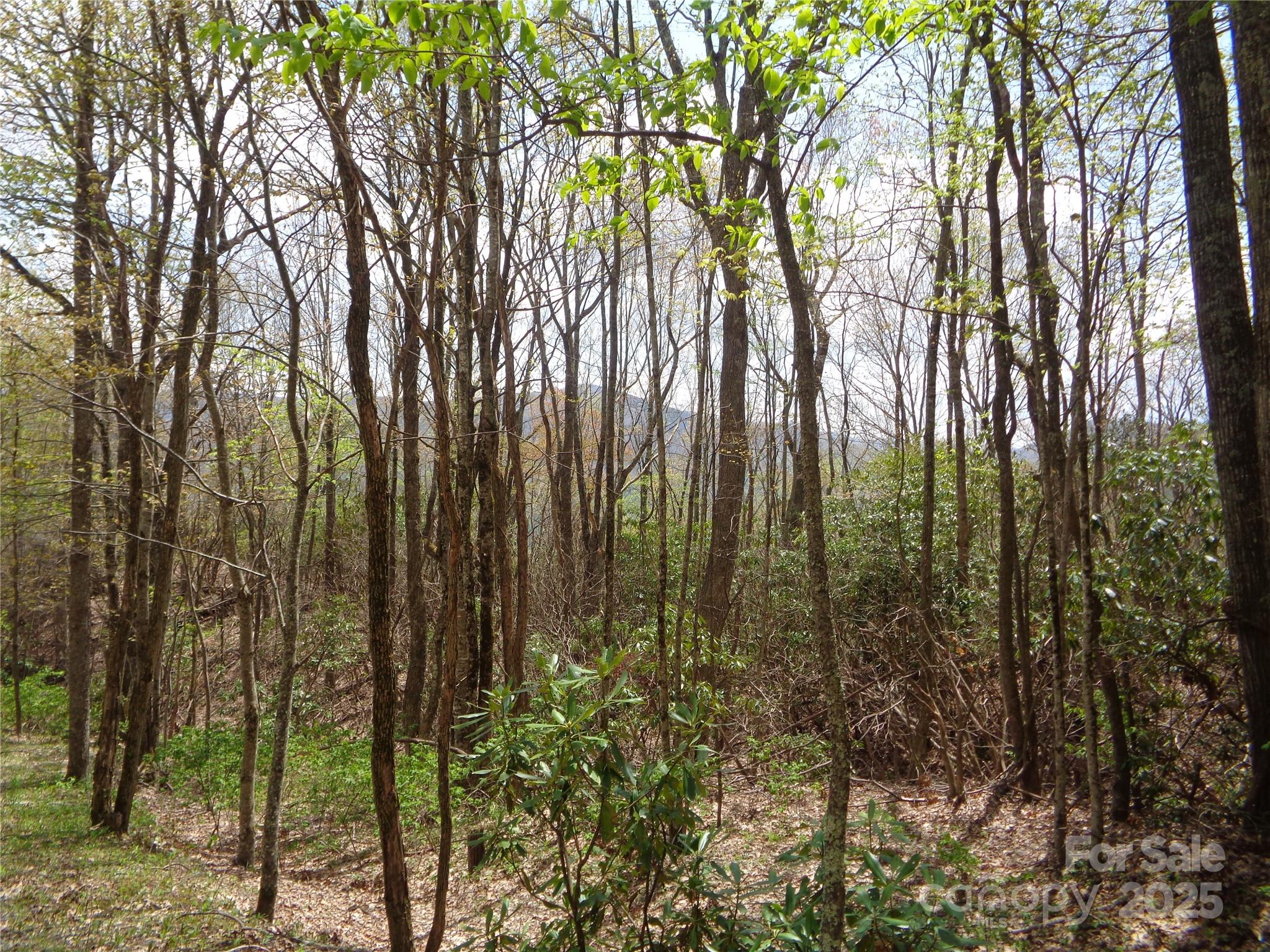 Sheepback Mountain - Land