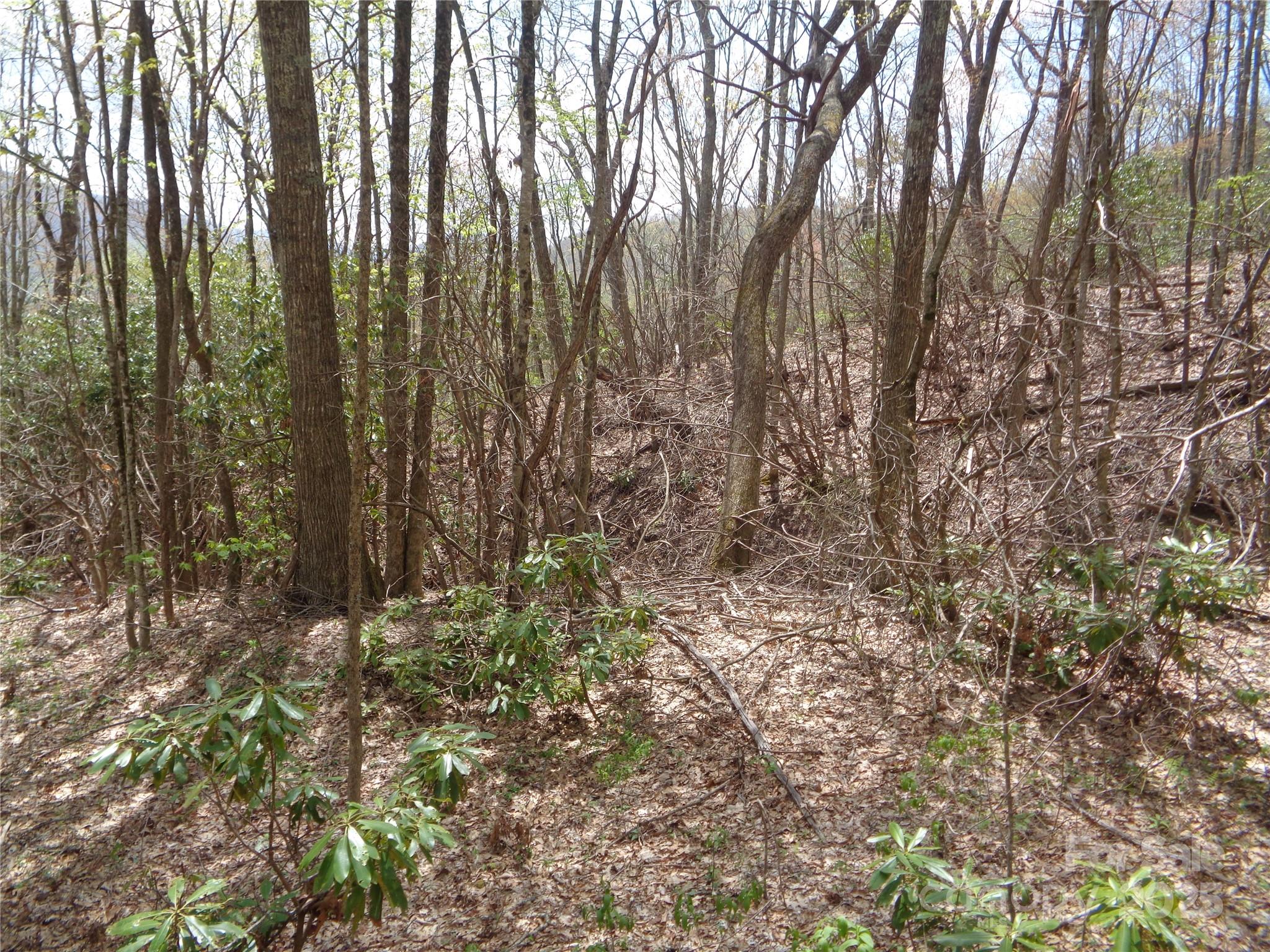 Sheepback Mountain - Land