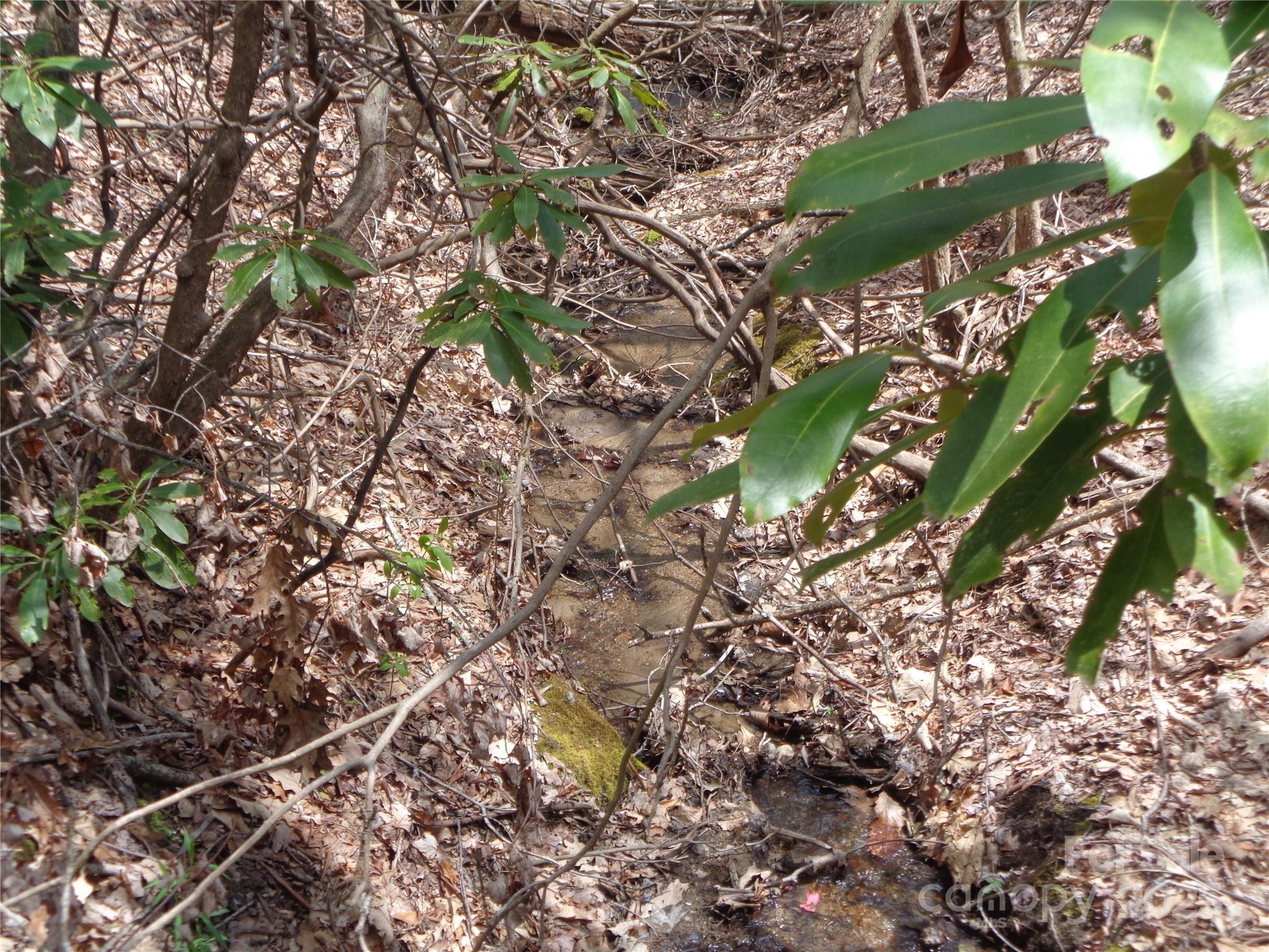 Sheepback Mountain - Land