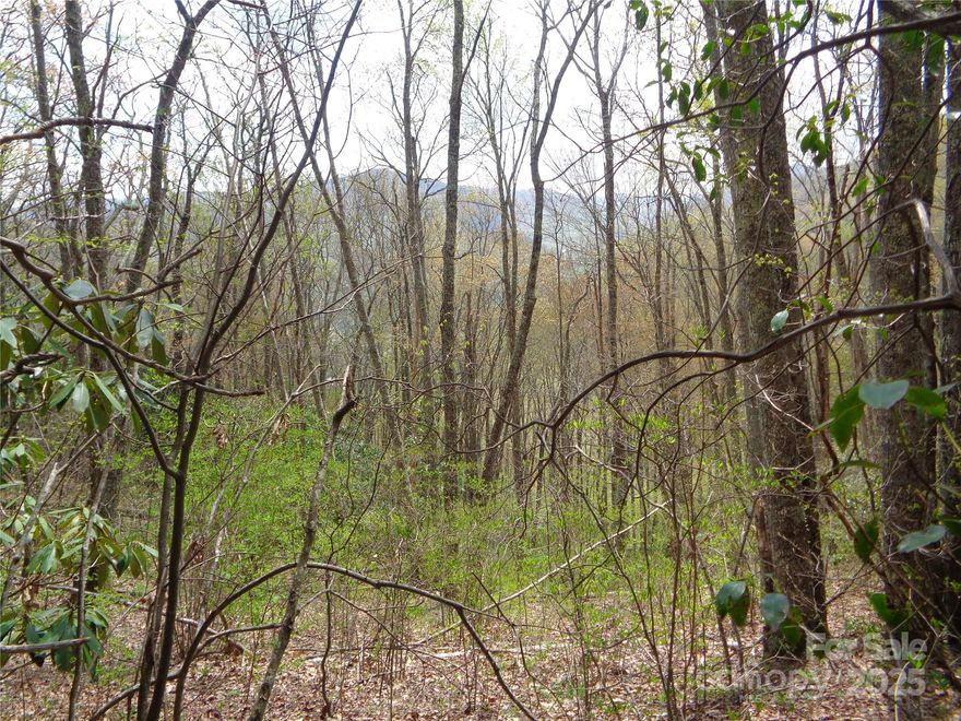 Build your dream home or vacation home on this beautiful mountain parcel located in desirable Sheepback Mountain Estates; a wonderful development of mostly Summer/Vacation homes. This property offers the potential for a private setting among natural trees and vegetation. Mountain & Valley views with some tree cutting. A small mountain brook runs through property. Only a few minutes to the heart of Maggie Valley, Blue Ridge Prkwy, The Great Smoky Mountains National Park, and so much more. There is an expired septic report for two separate homes.