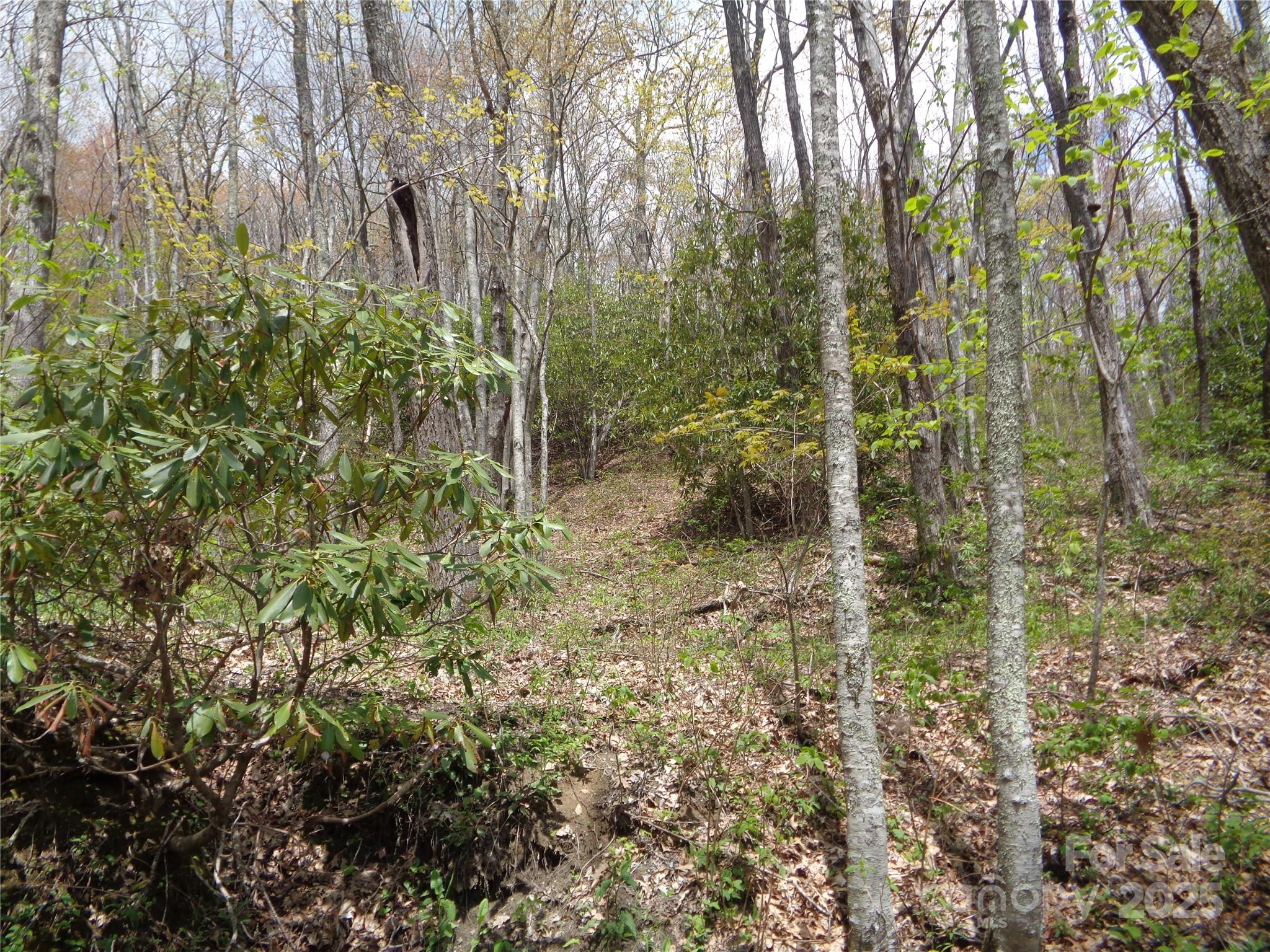Sheepback Mountain - Land