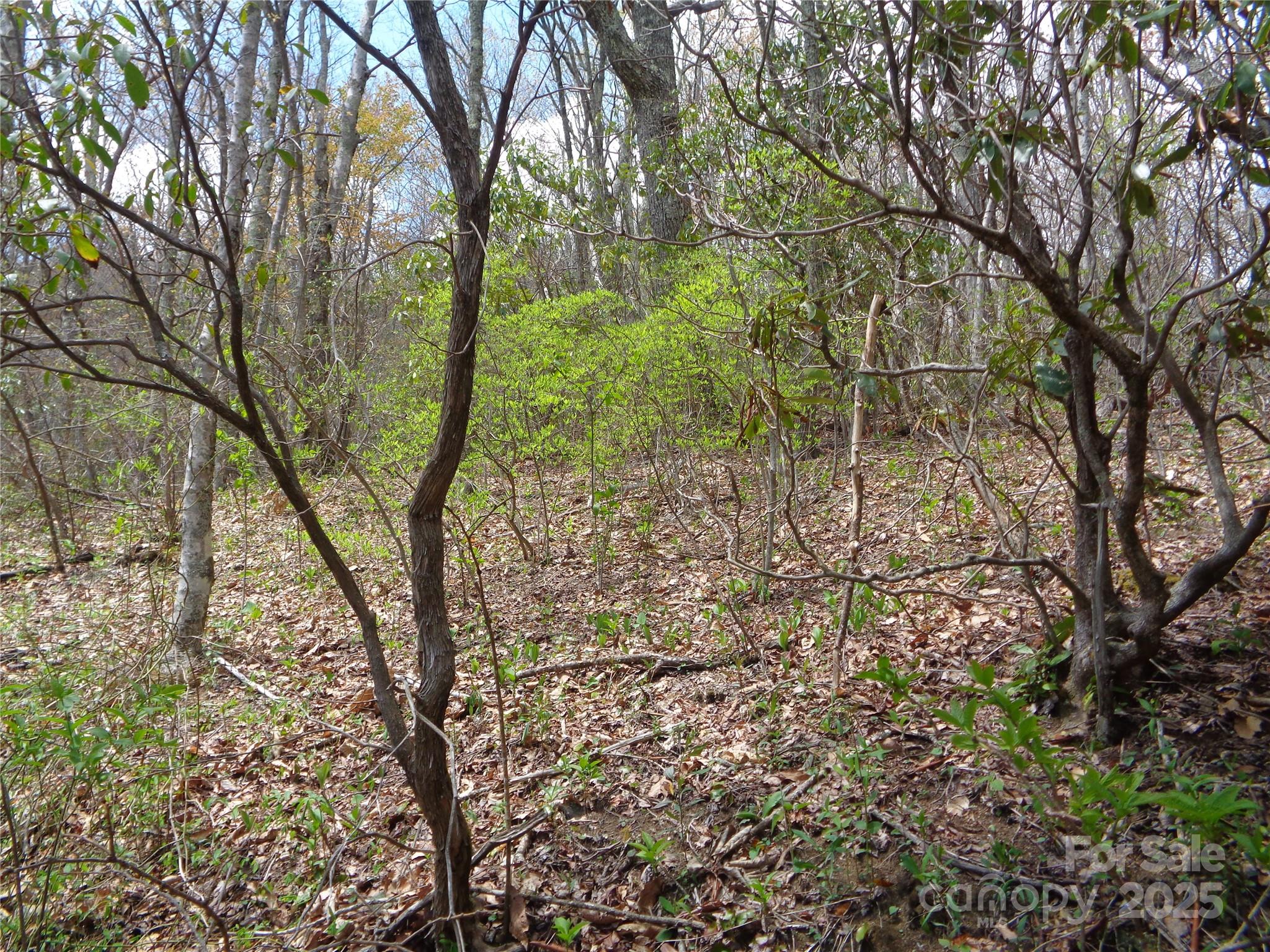 Sheepback Mountain - Land