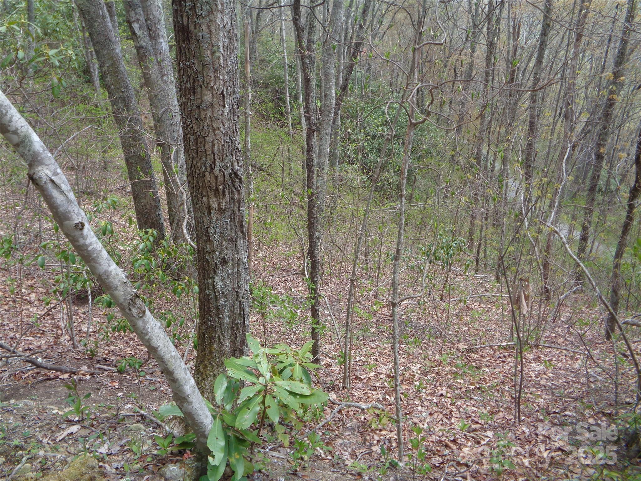 Sheepback Mountain - Land