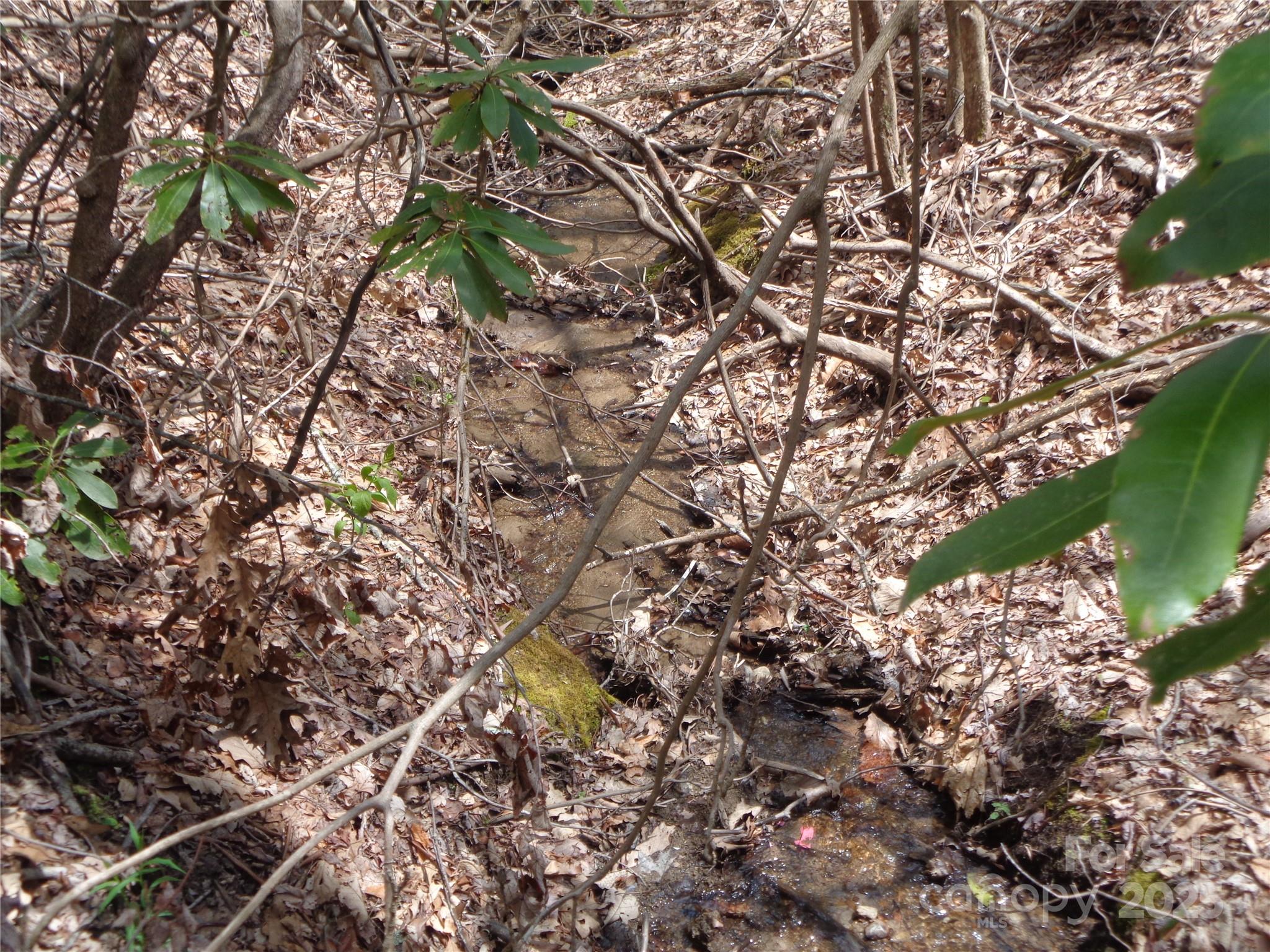 Sheepback Mountain - Land