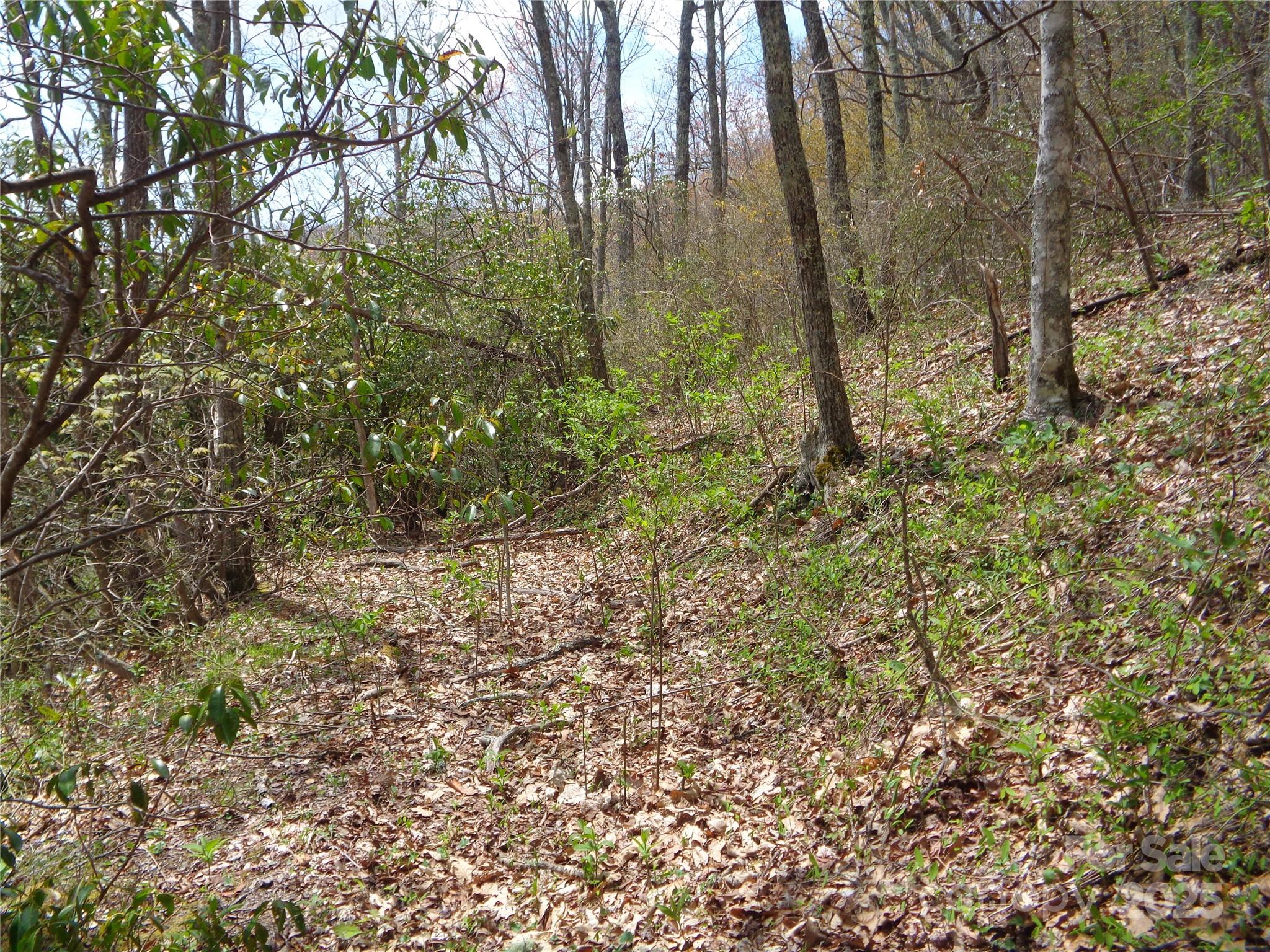 Sheepback Mountain - Land