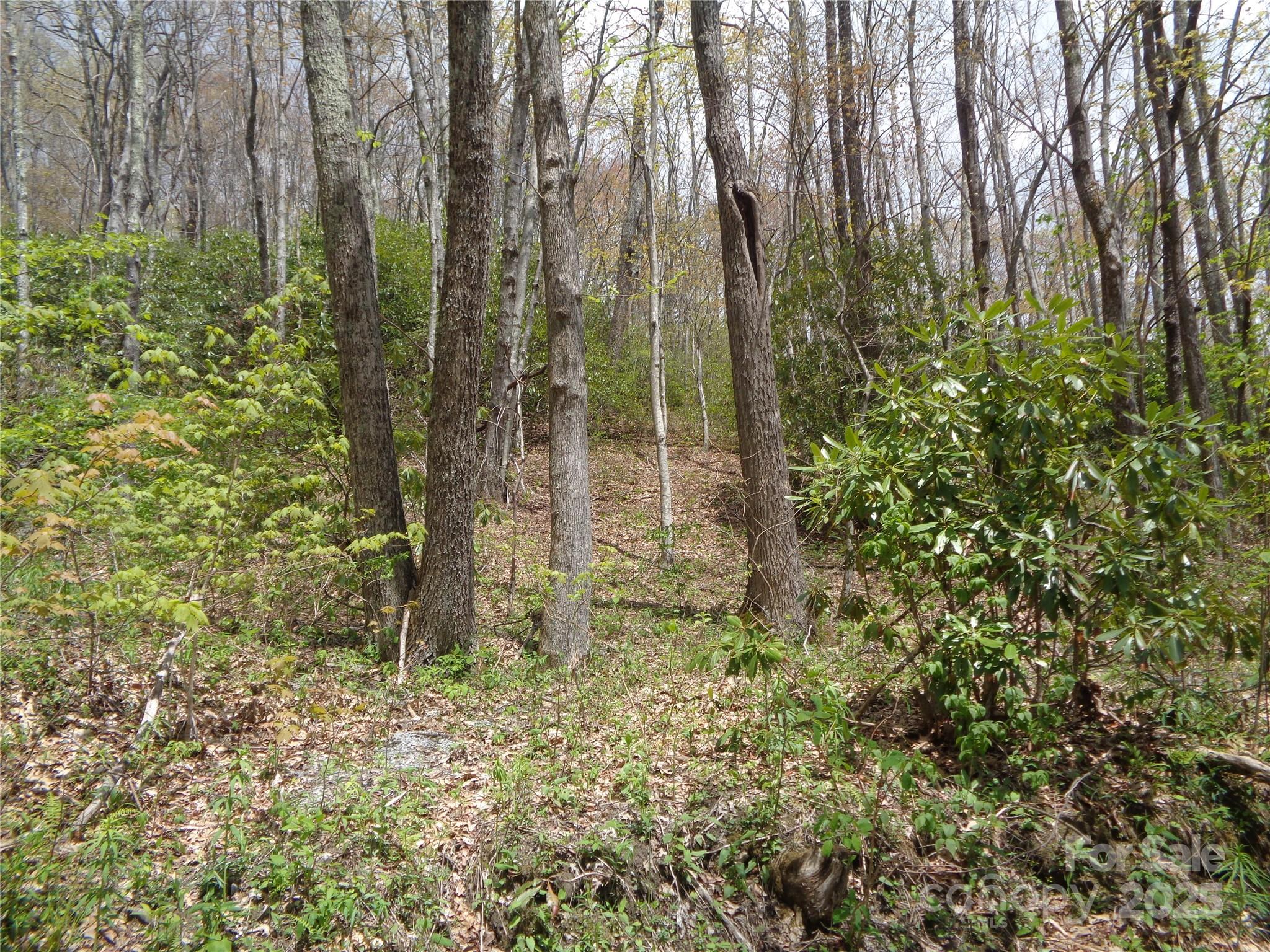 00 Bent Tree Road
