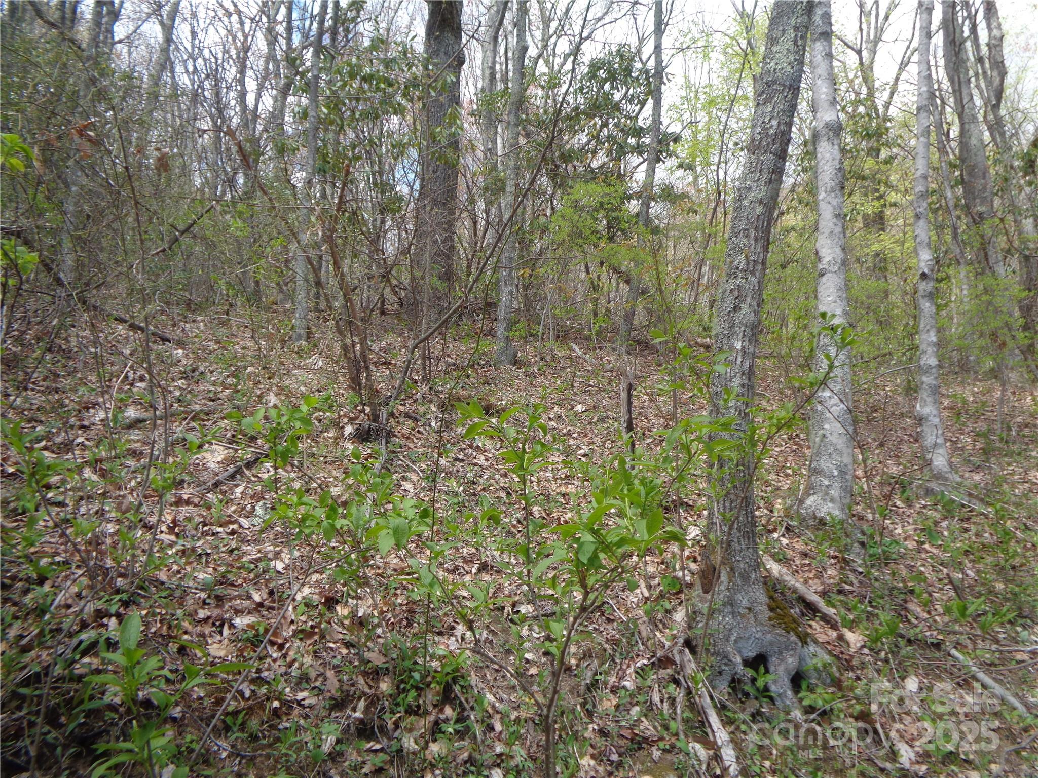 Sheepback Mountain - Land