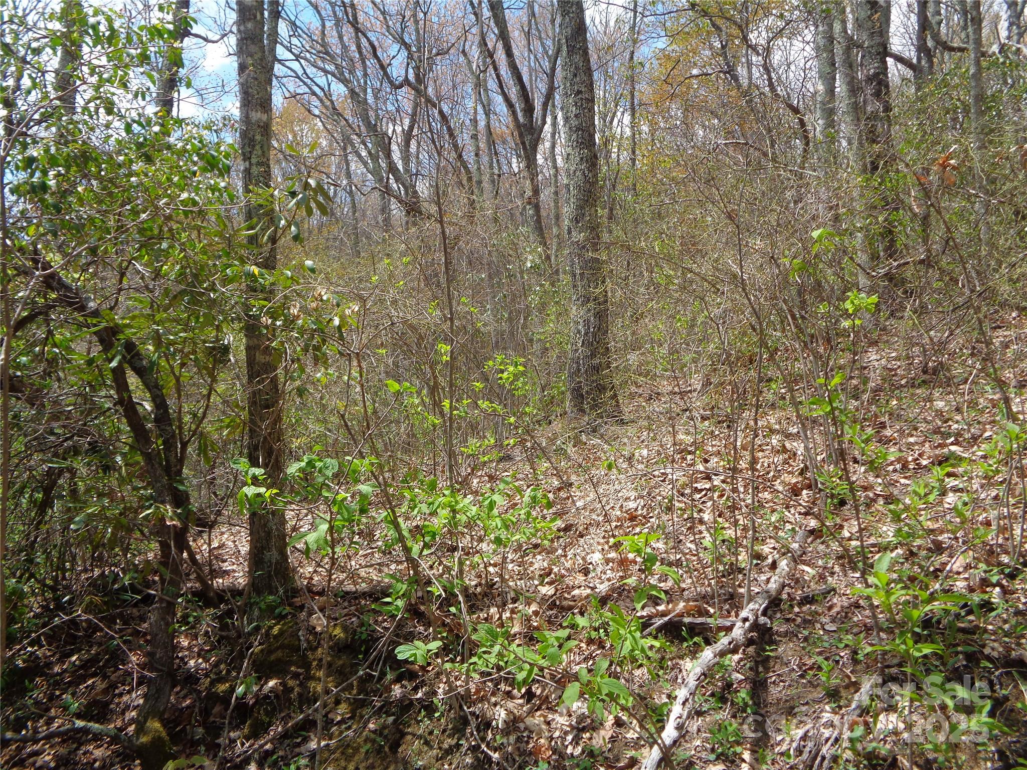 Sheepback Mountain - Land