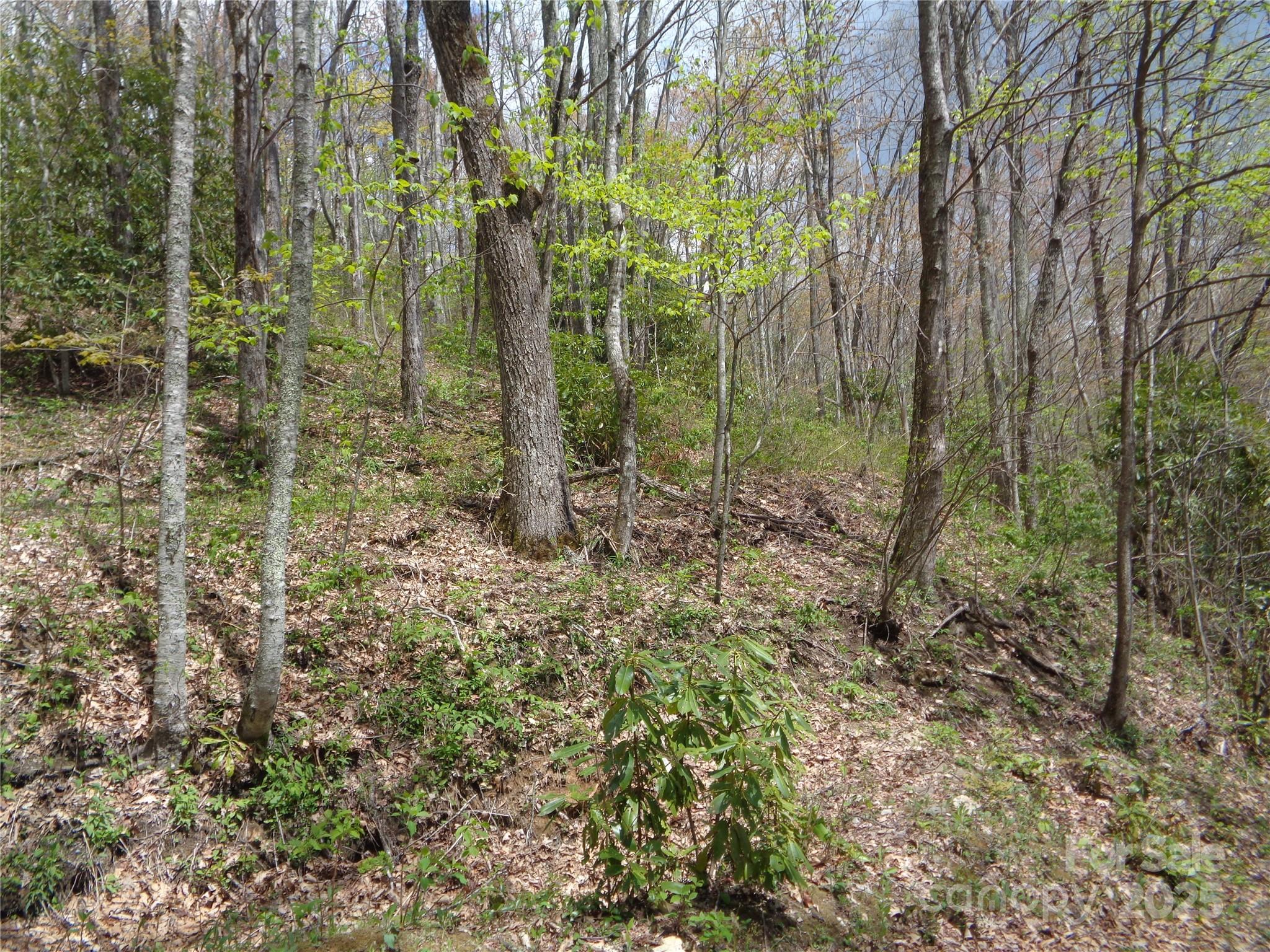 Sheepback Mountain - Land