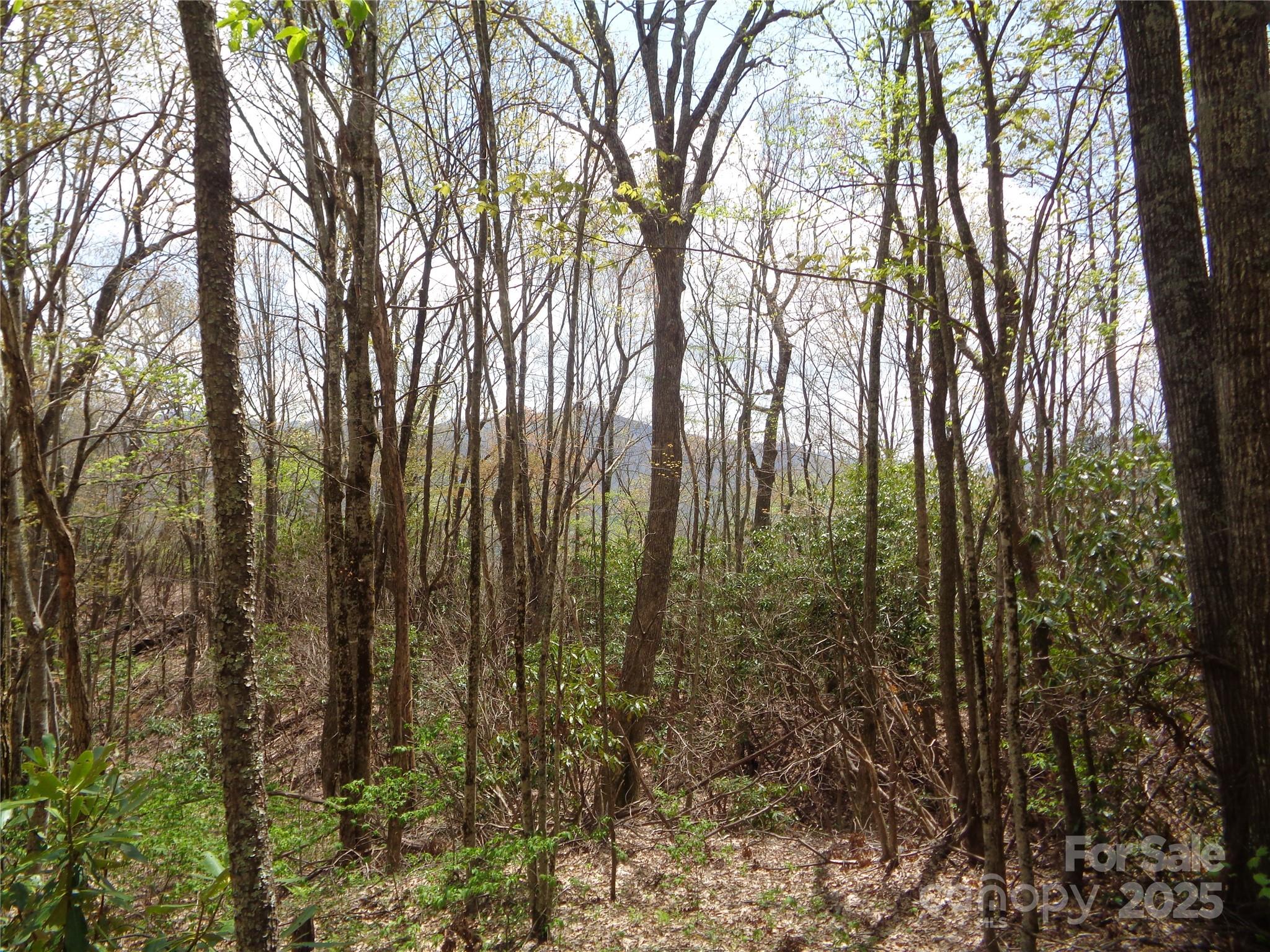 Sheepback Mountain - Land