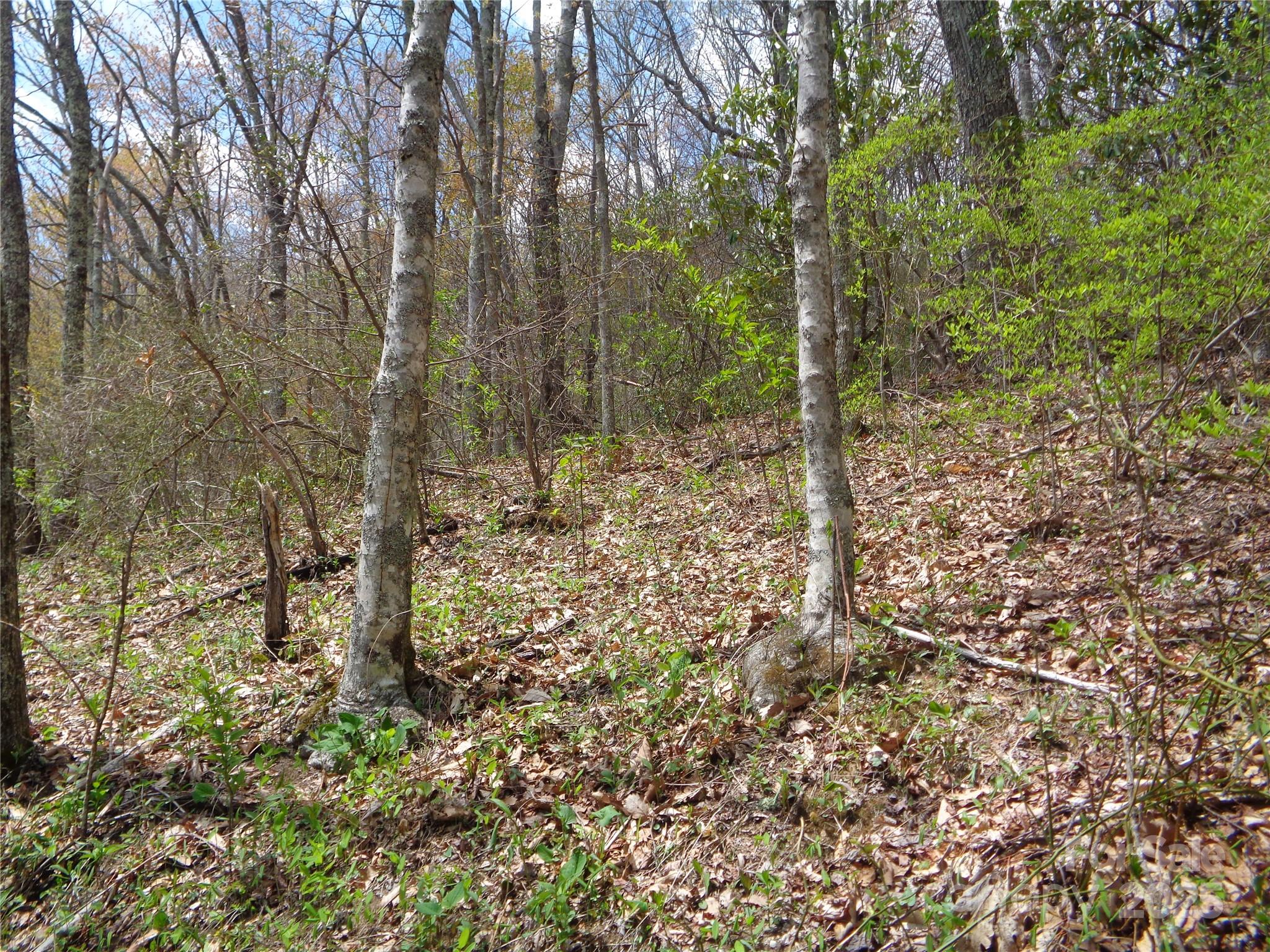 Sheepback Mountain - Land