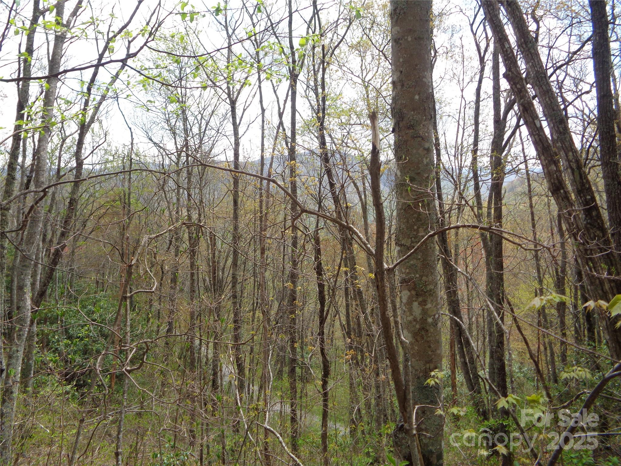 Sheepback Mountain - Land