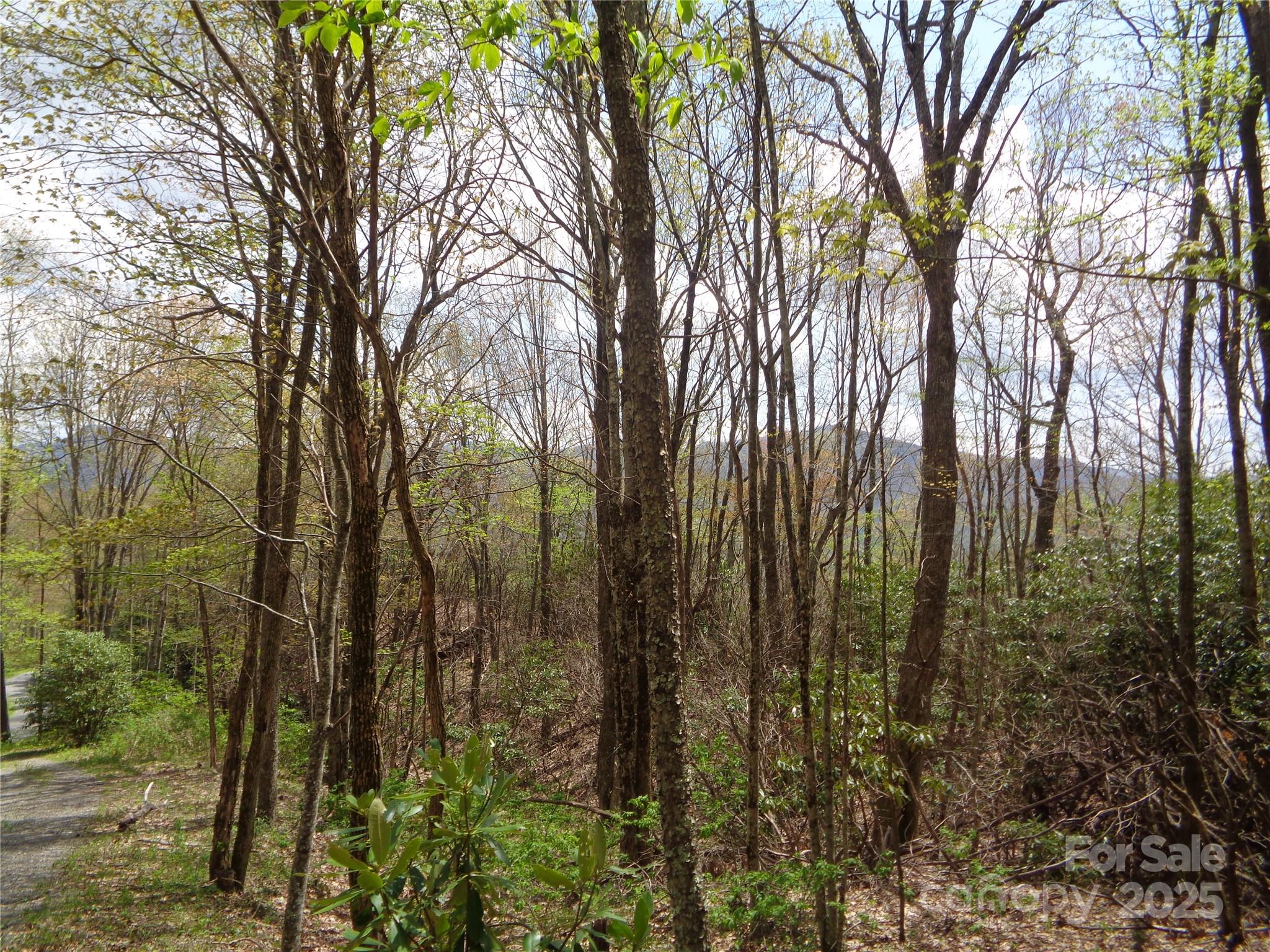 00 Bent Tree Road