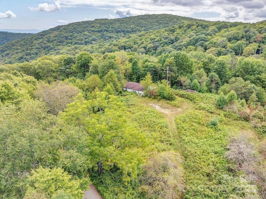A natural beauty perched on a high grassy field with land to roam the Blue Ridge mountains.  Enjoy long range scenic views in the area. A ?large concrete pad ?is already in place, just ?tear out the old home and start fresh.  Ideal for a mountain cabin or small farm.  Property borders the National Forest and ?is close to the Appalachian Trail.   Under 2 miles to the AT - Max Patch parking lot.  Waynesville, Maggie Valley, Hot Springs & Asheville are just down the mountain.  Enjoy the country mountain life on top of the Blue Ridge Mountains.