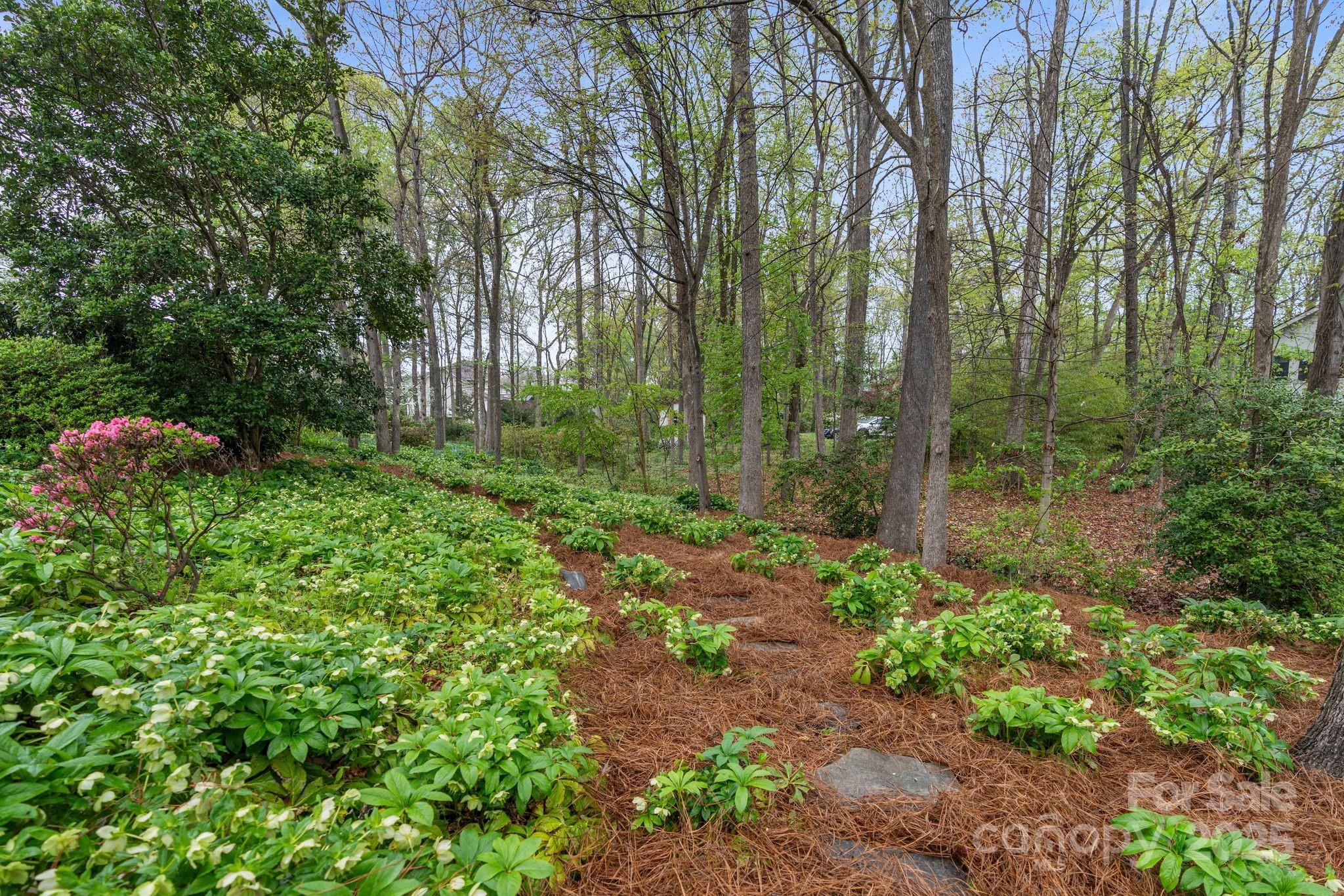 Winding Brook - Residential