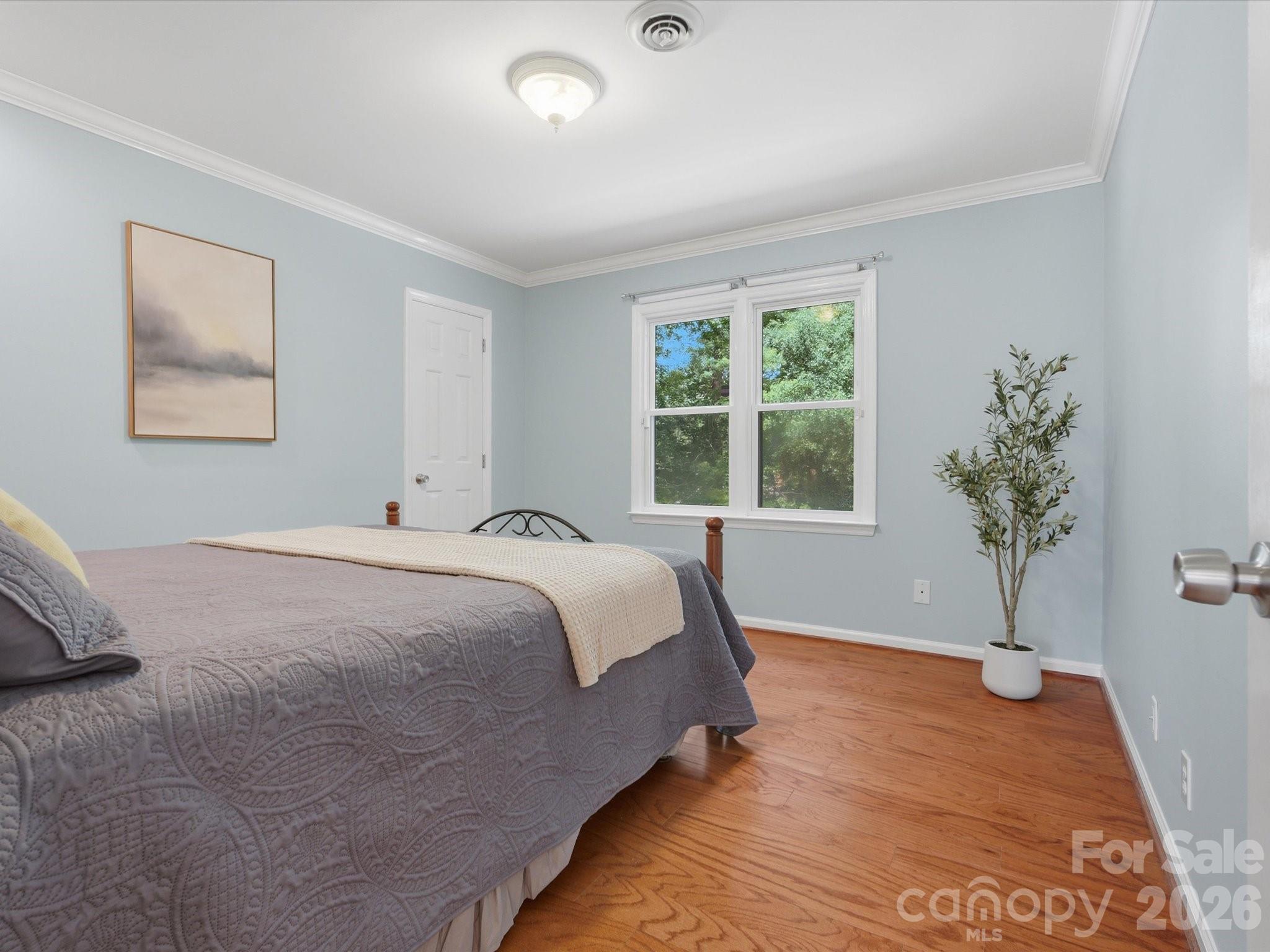 Olde Williamsburg - Residential