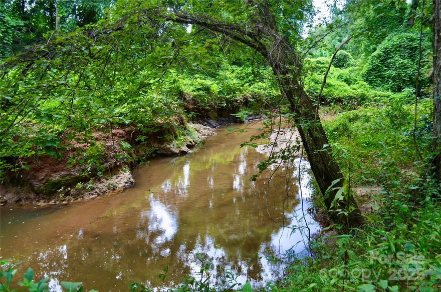 LOCATION, LOCATION, LOCATION! This is your opportunity to live in the city limits of Forest City. Build your dream home or build several houses on this 5.9-acre property. Enjoy relaxing by Brackett Creek. Located in historic downtown Forest City. Visit restaurants, pubs, boutiques, amphitheaters, and rails to trails by golf cart. Forest City offers public water and sewer.