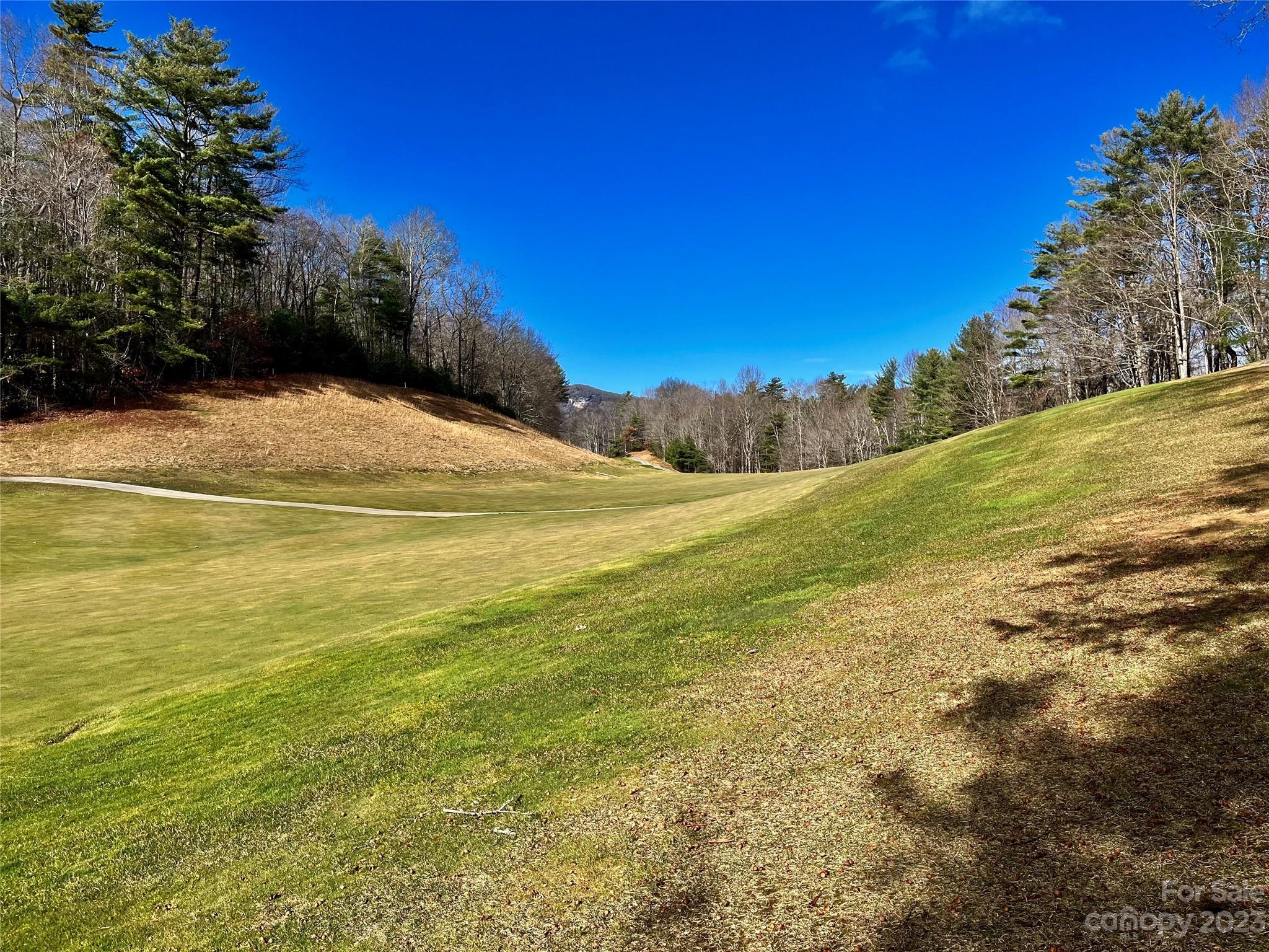 Lake Toxaway Estates - Land
