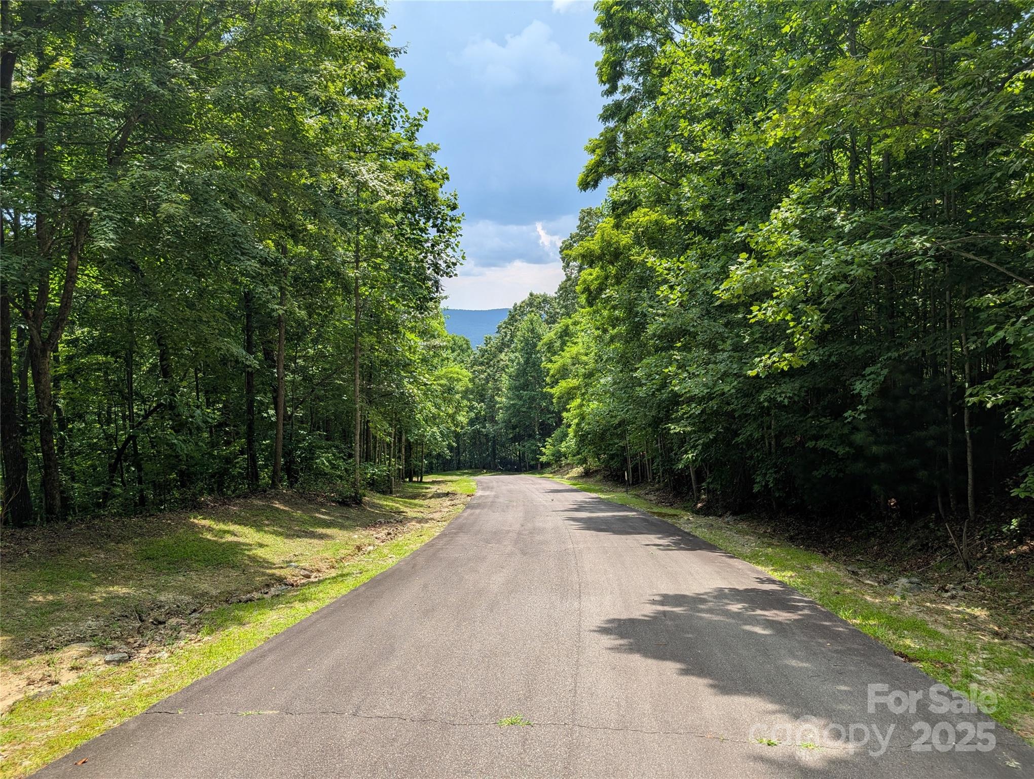 115 Ivywood Lane