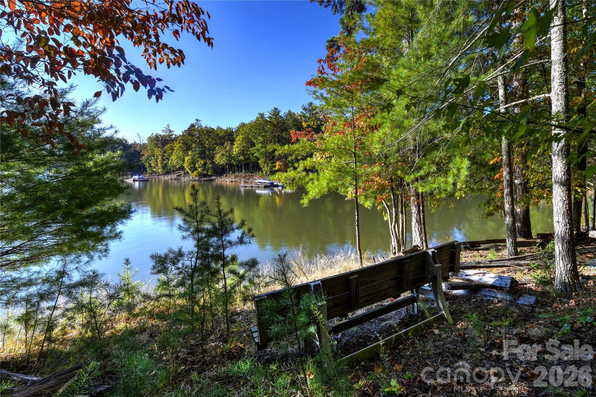 Old Wildlife Club - Land