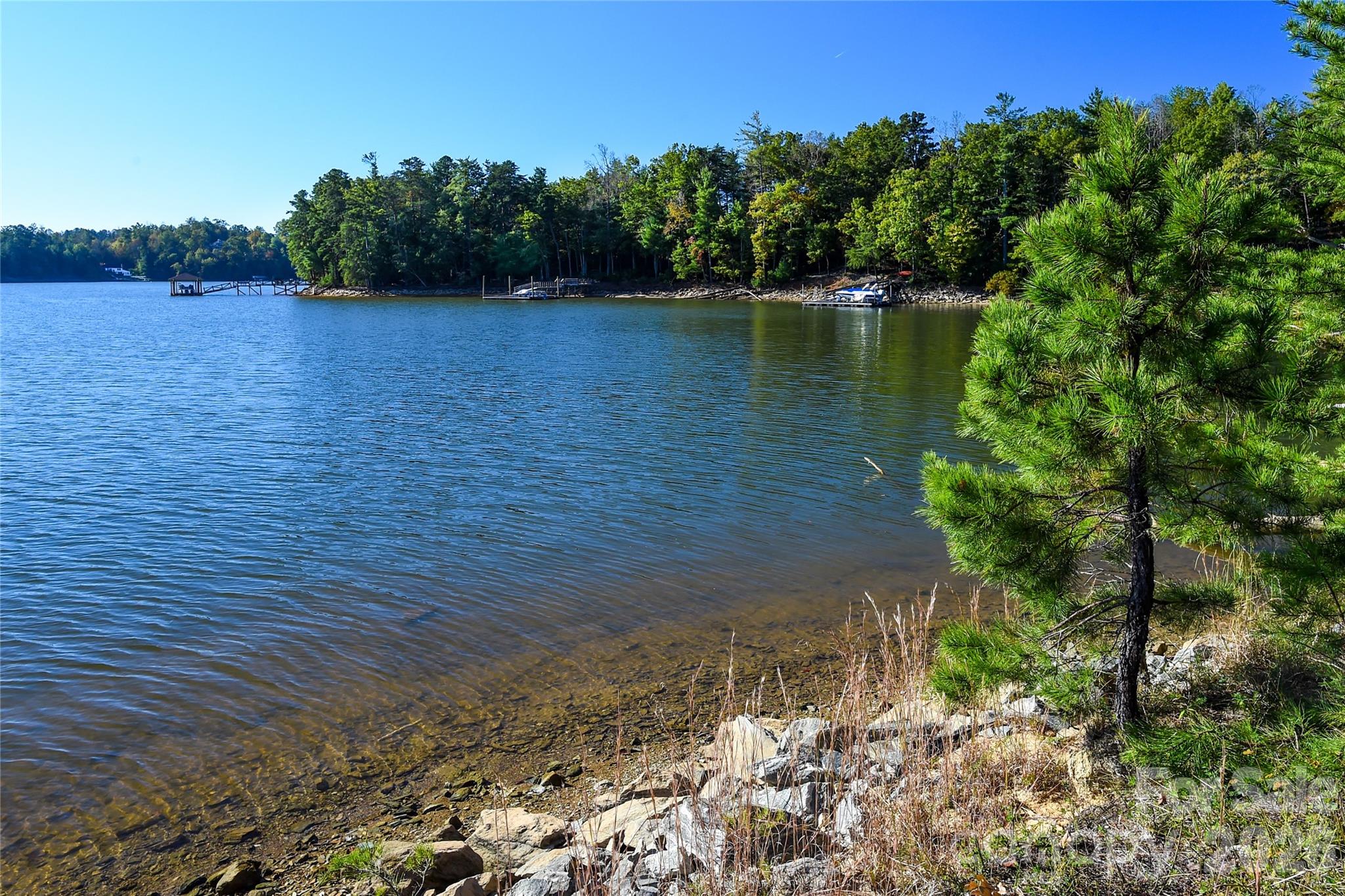 Old Wildlife Club - Land