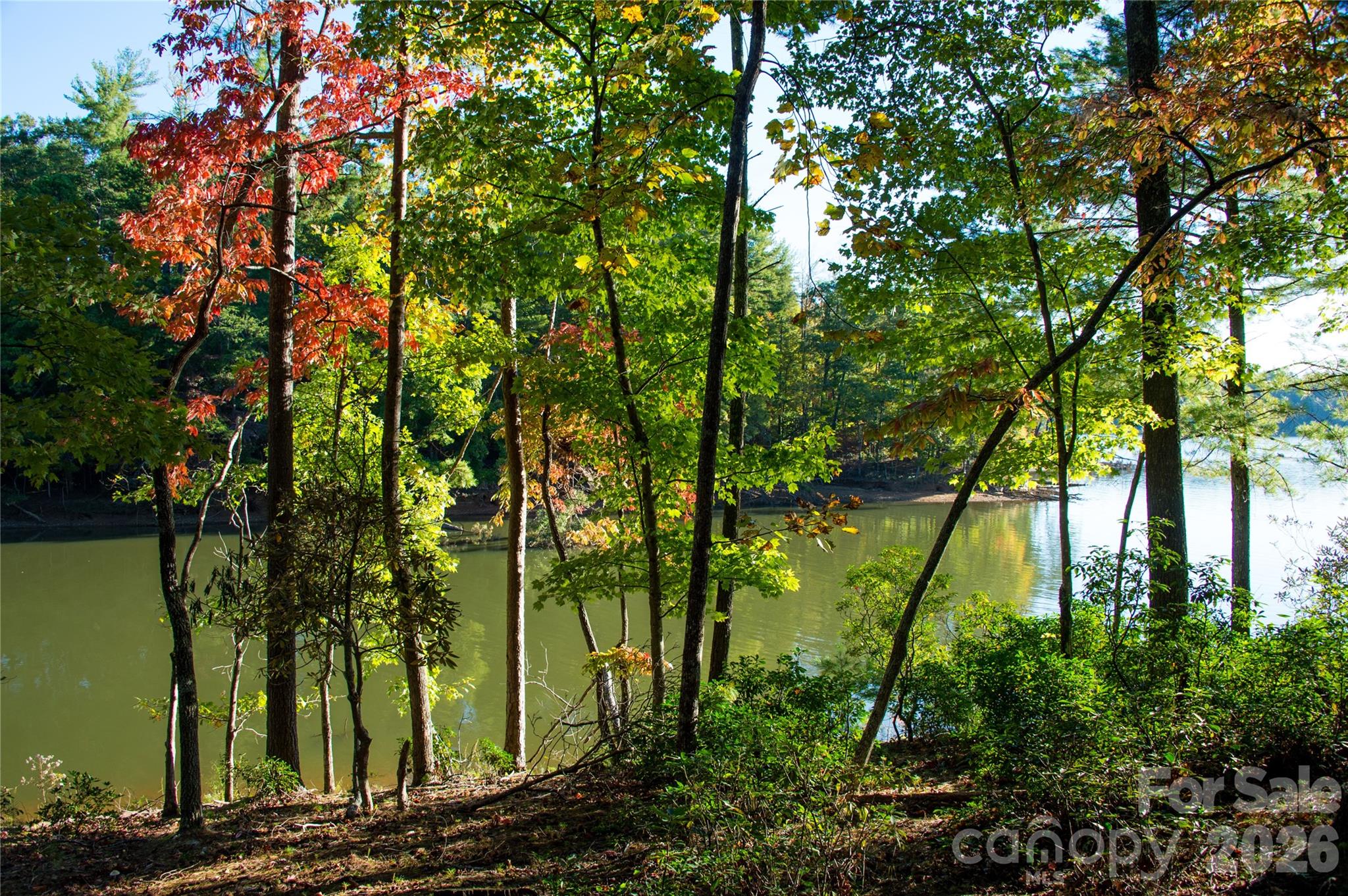 Old Wildlife Club - Land